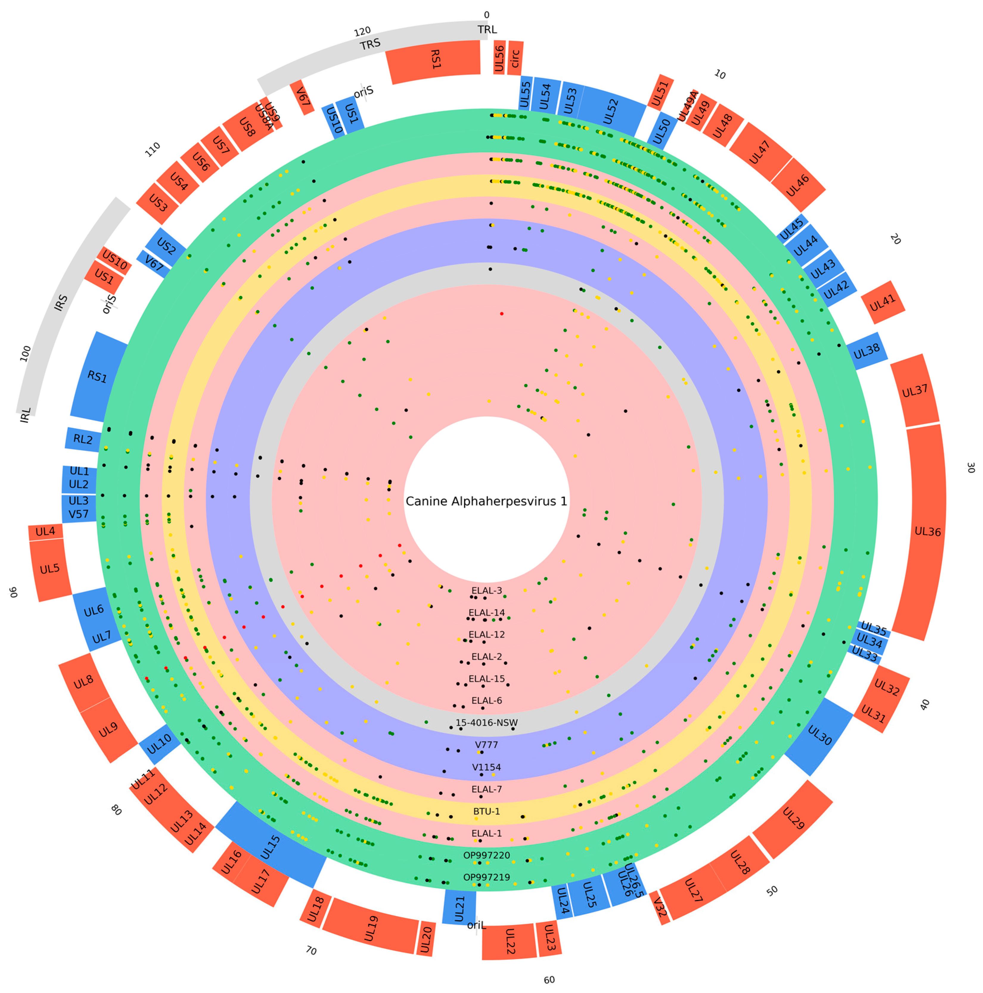 Viruses 16 00209 g007 Viruses 16 00209 g007