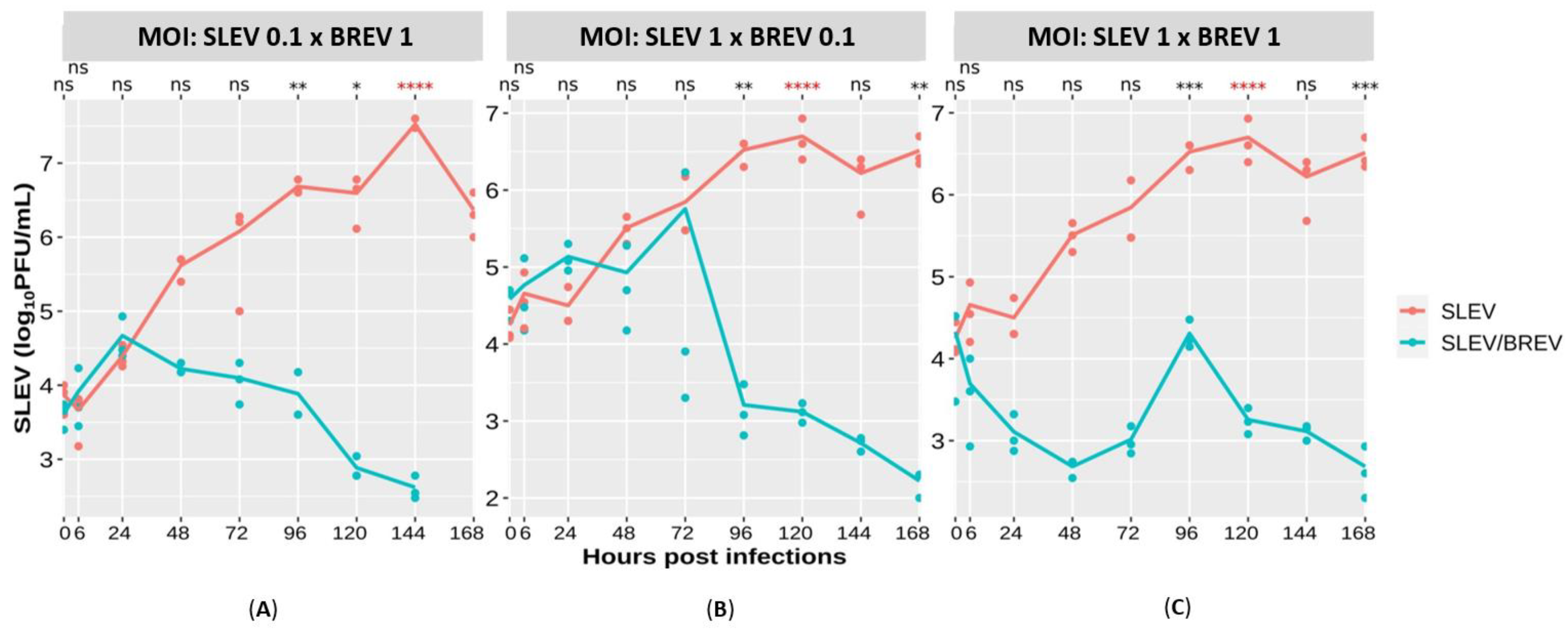 Viruses 16 00210 g003