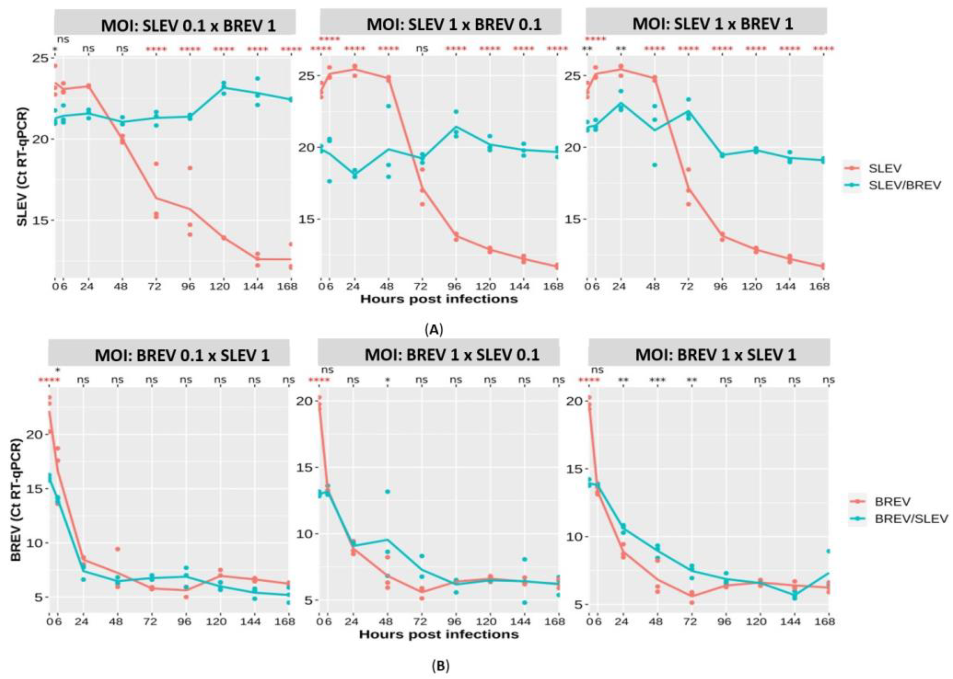 Viruses 16 00210 g004