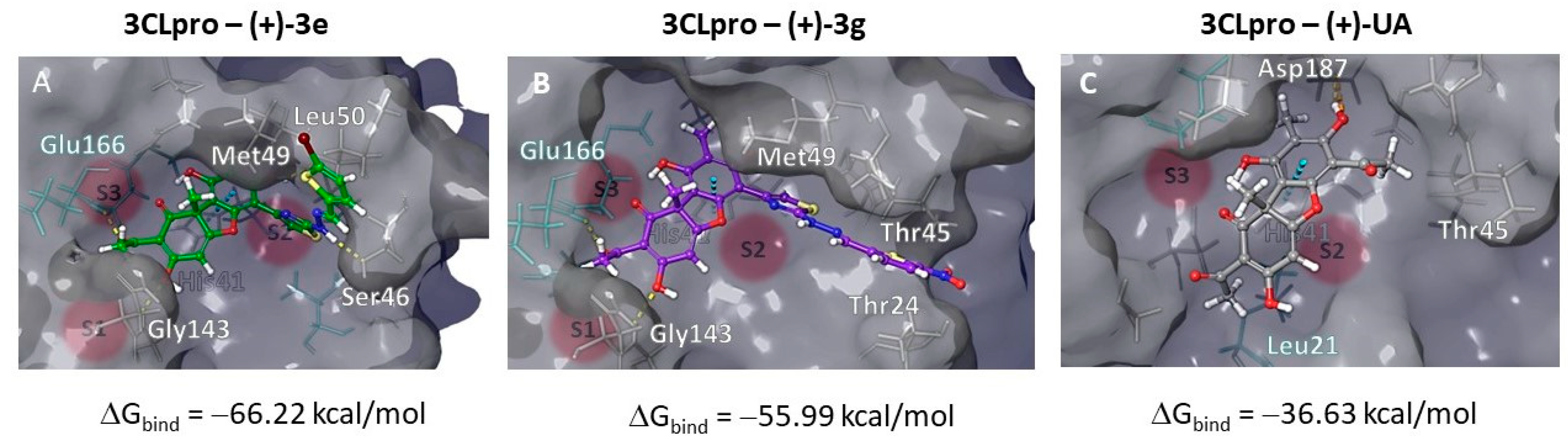 Viruses 16 00215 g007