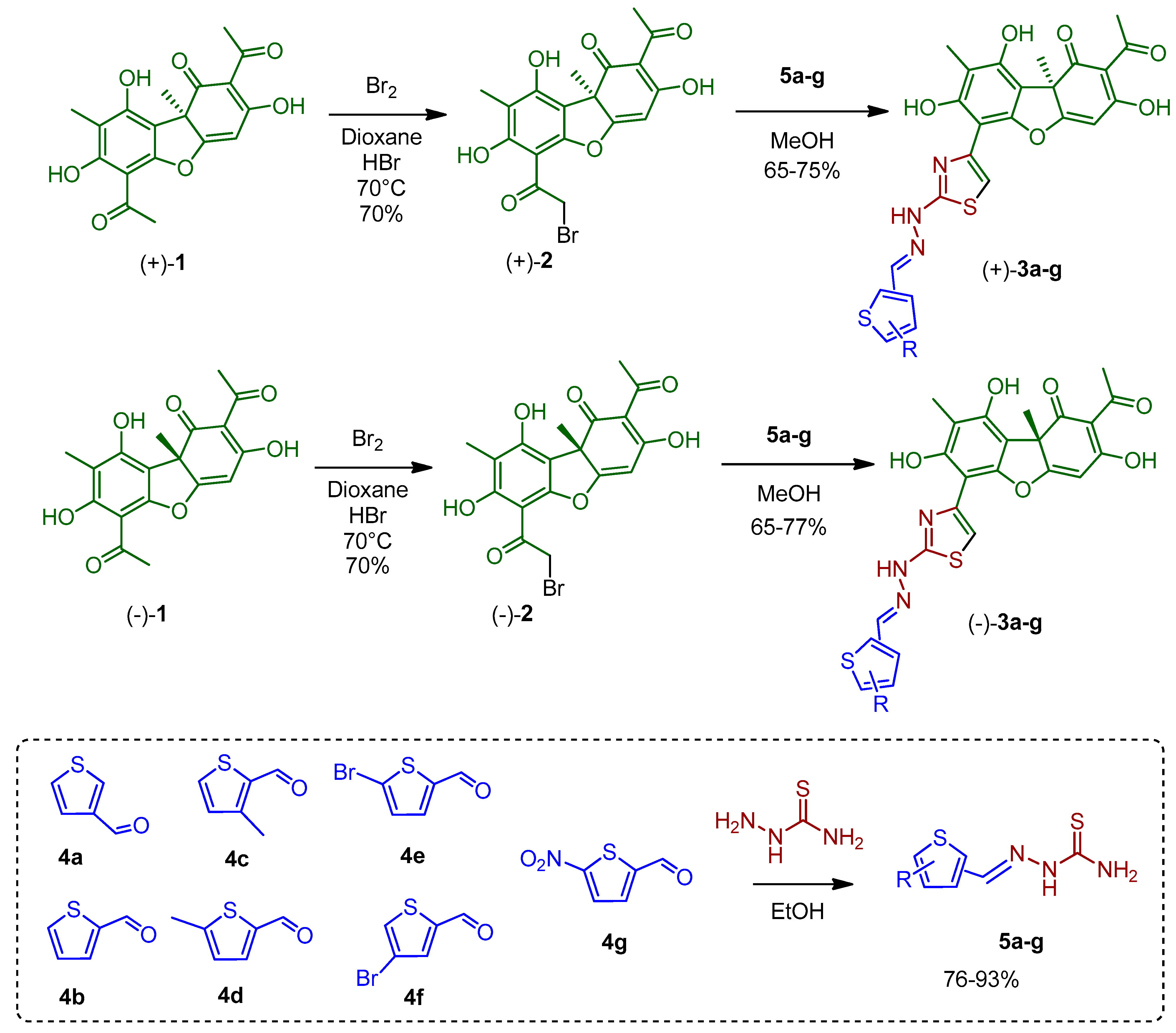 Viruses 16 00215 sch001