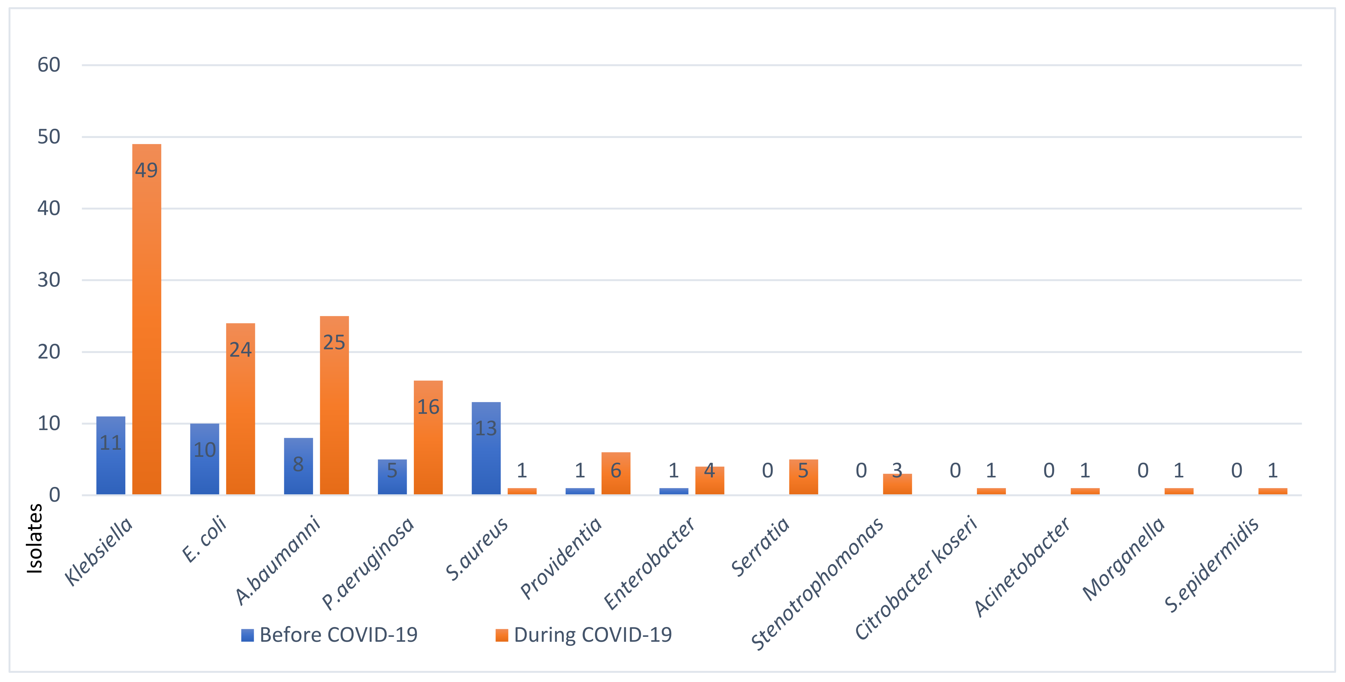 Viruses 16 00227 g004