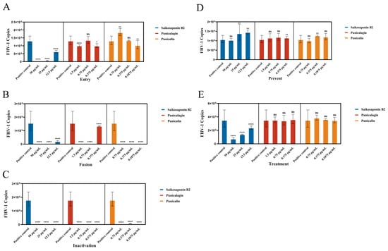 Viruses 16 00231 g006
