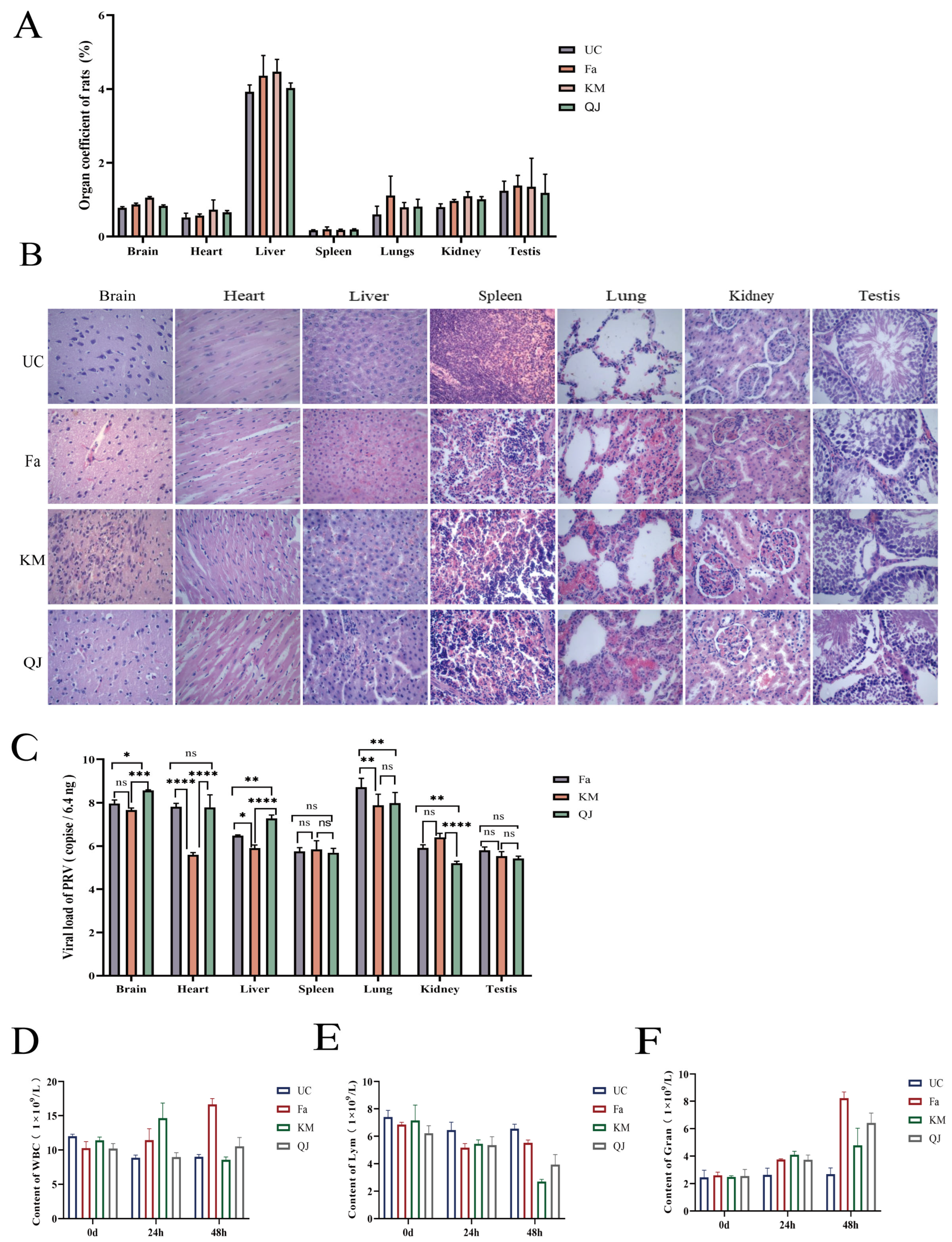 Viruses 16 00233 g002
