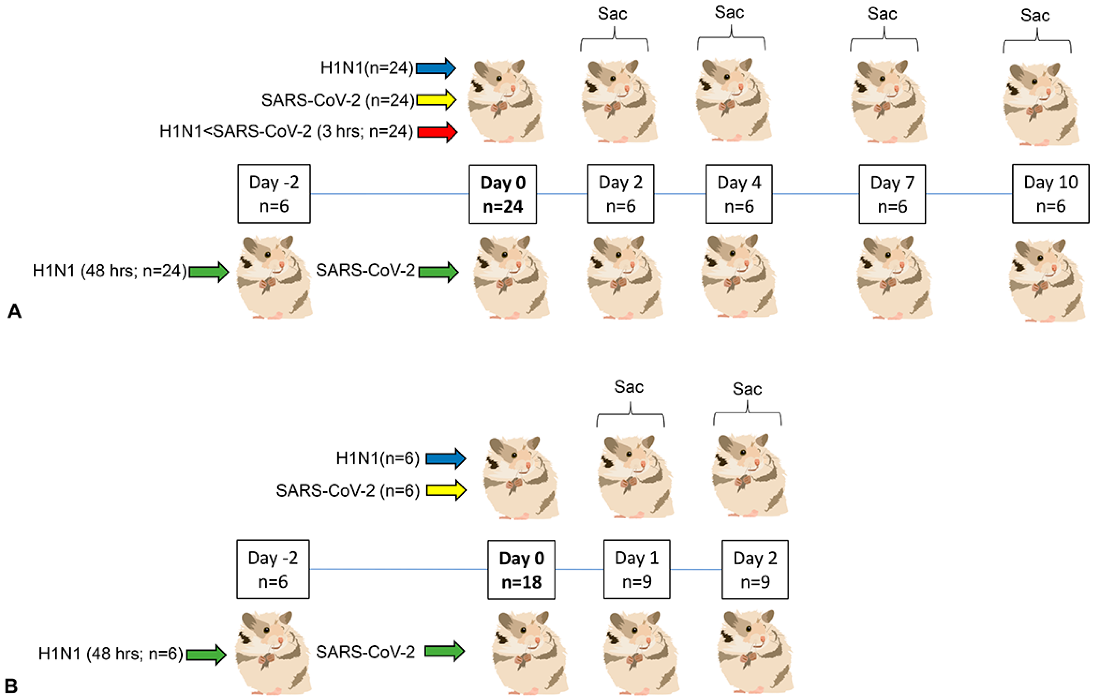 Viruses 16 00246 g001 Viruses 16 00246 g001