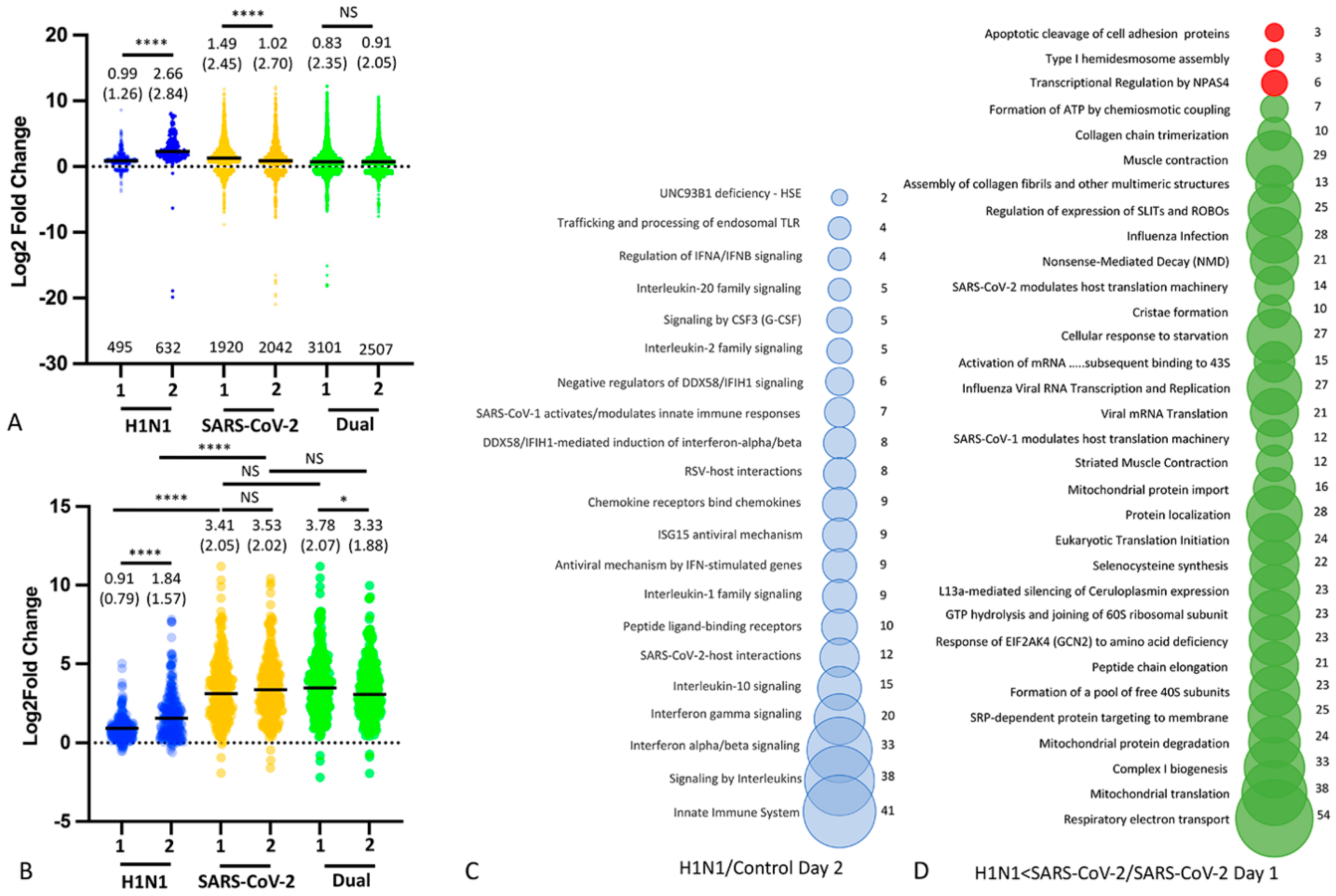 Viruses 16 00246 g006 Viruses 16 00246 g006