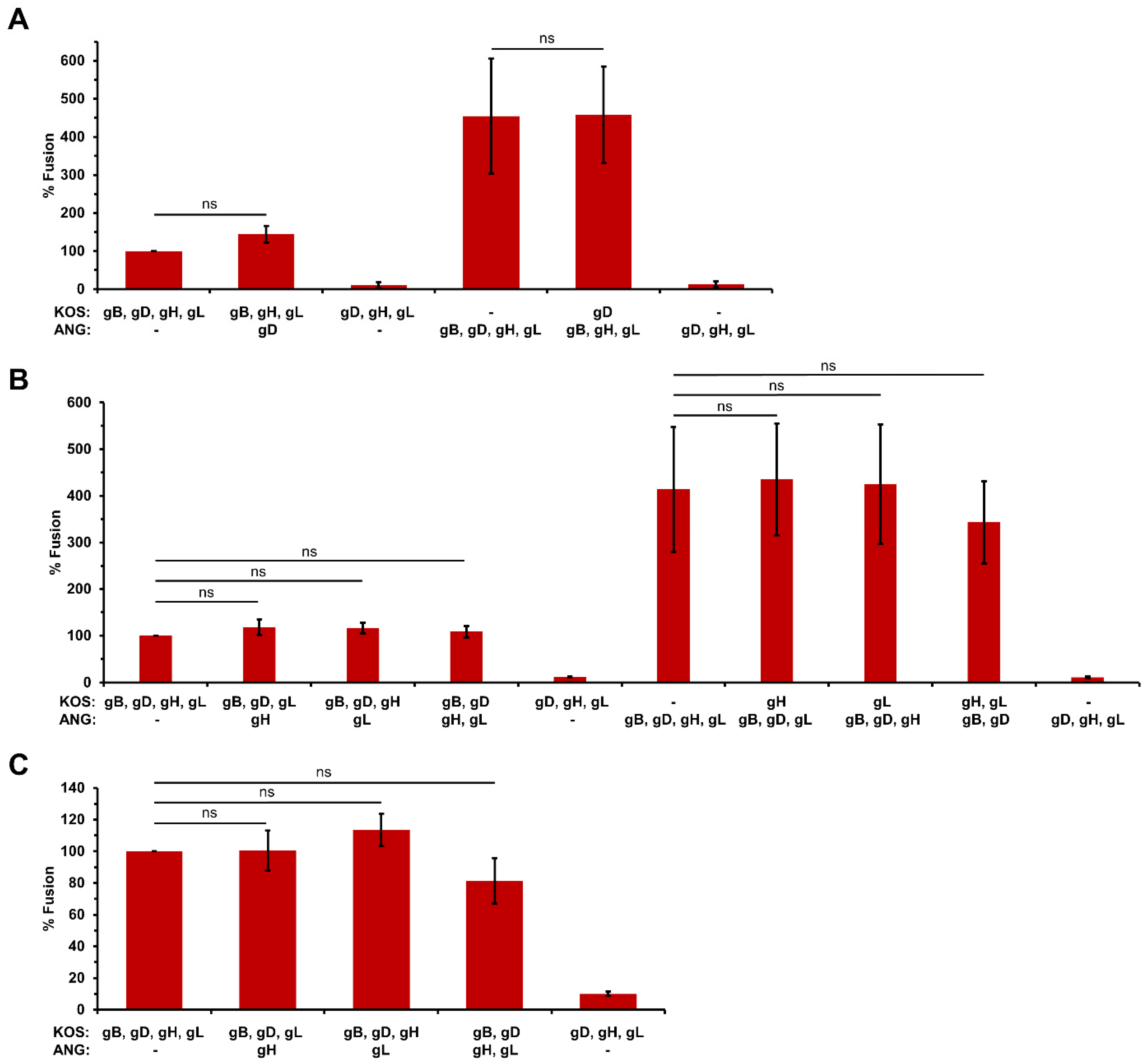 Viruses 16 00251 g004