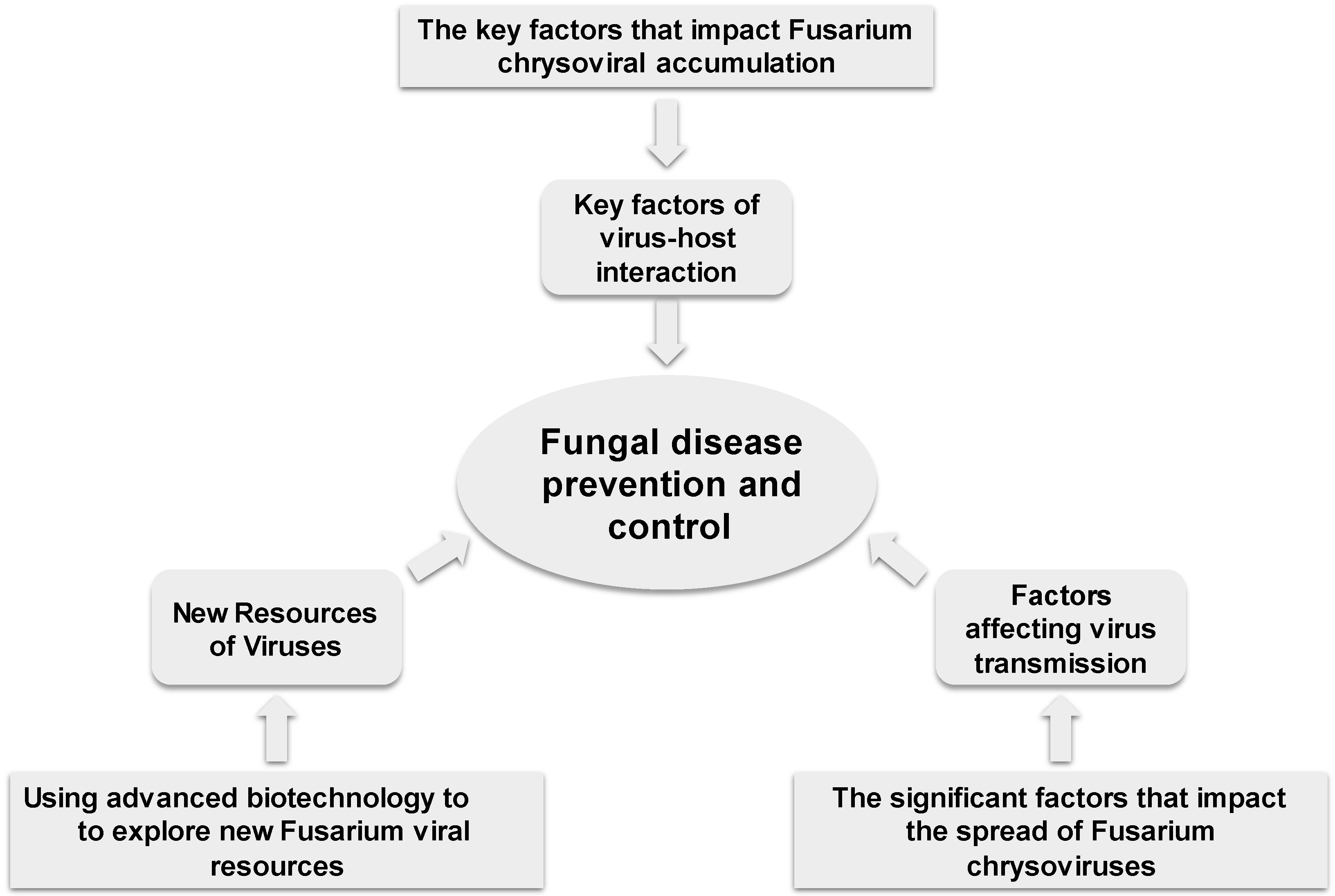 Viruses 16 00253 g001