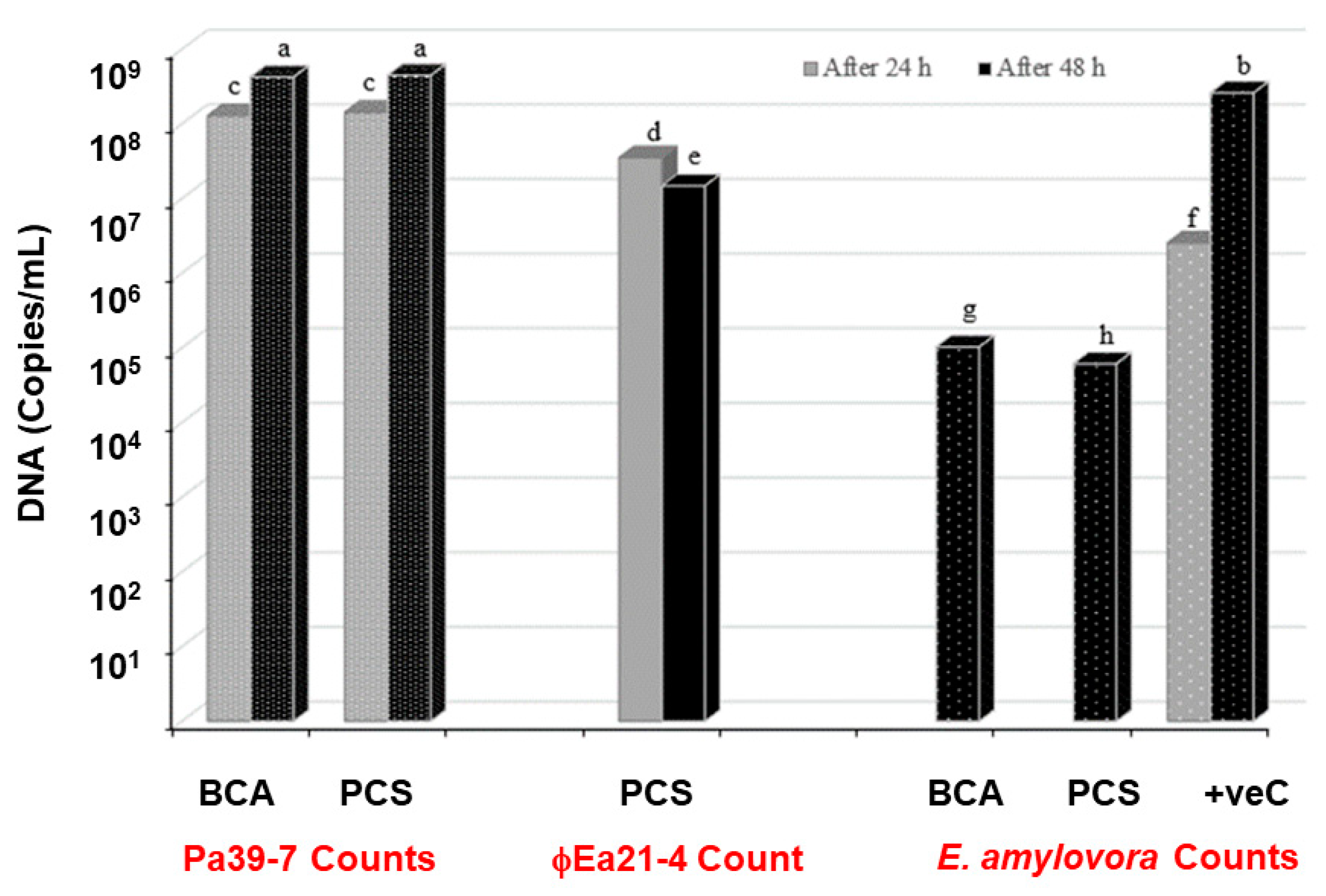 Viruses 16 00257 g008