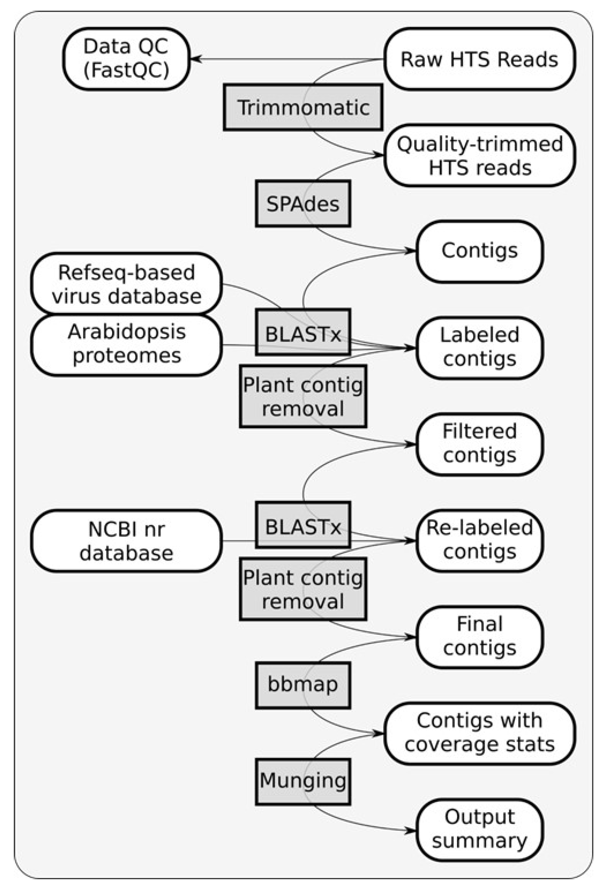 Viruses 16 00267 g001