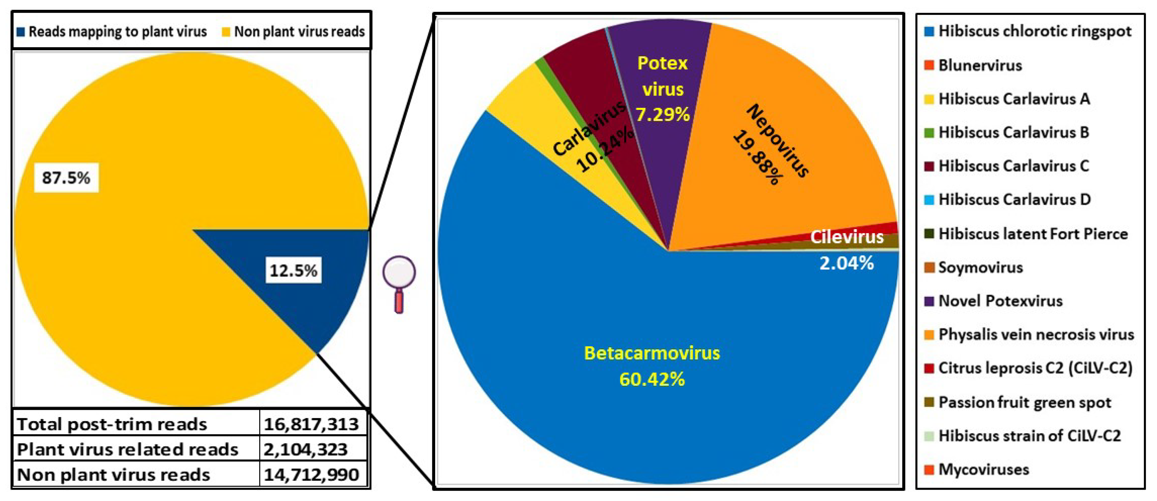 Viruses 16 00267 g003