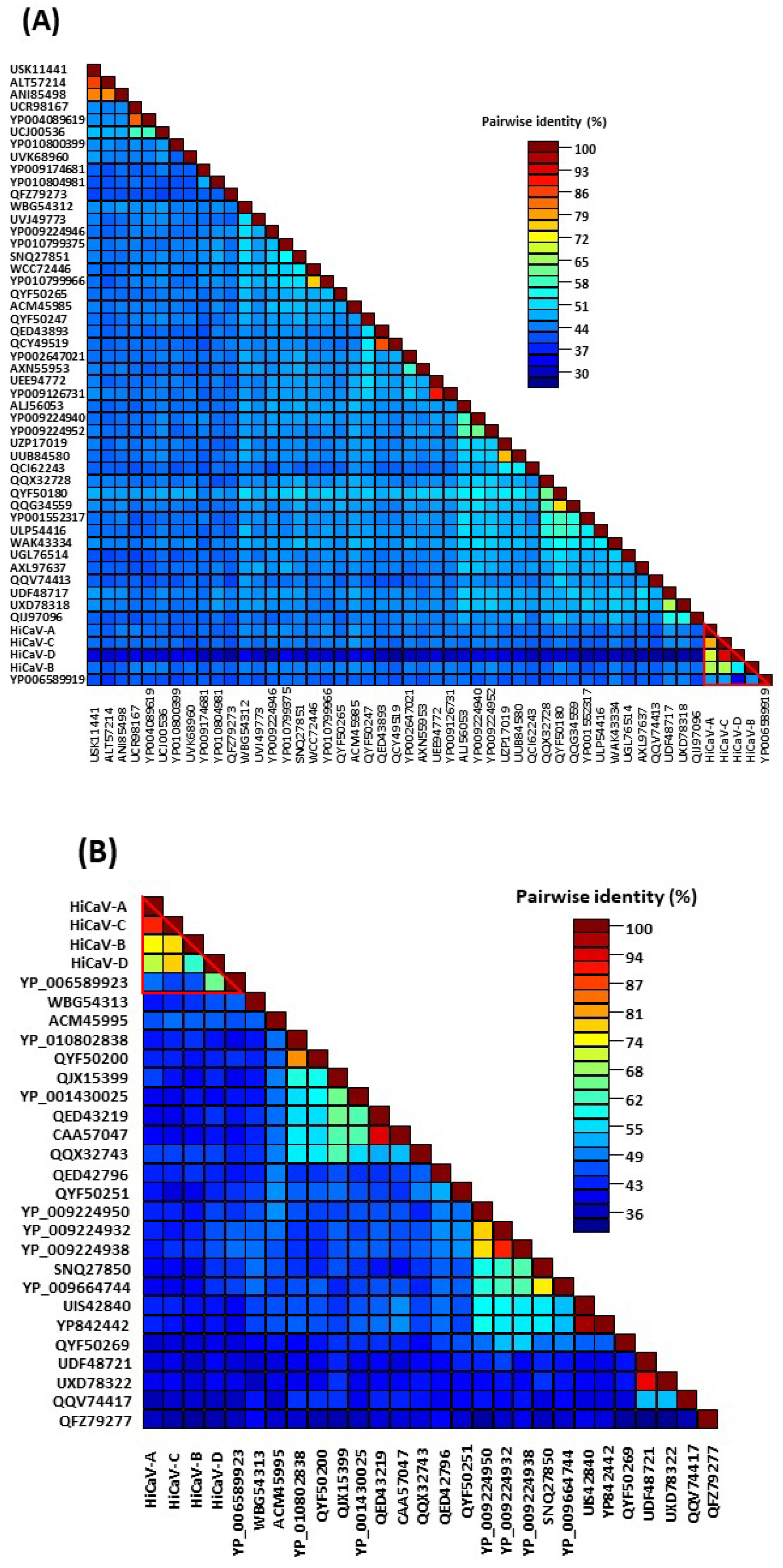 Viruses 16 00267 g005a