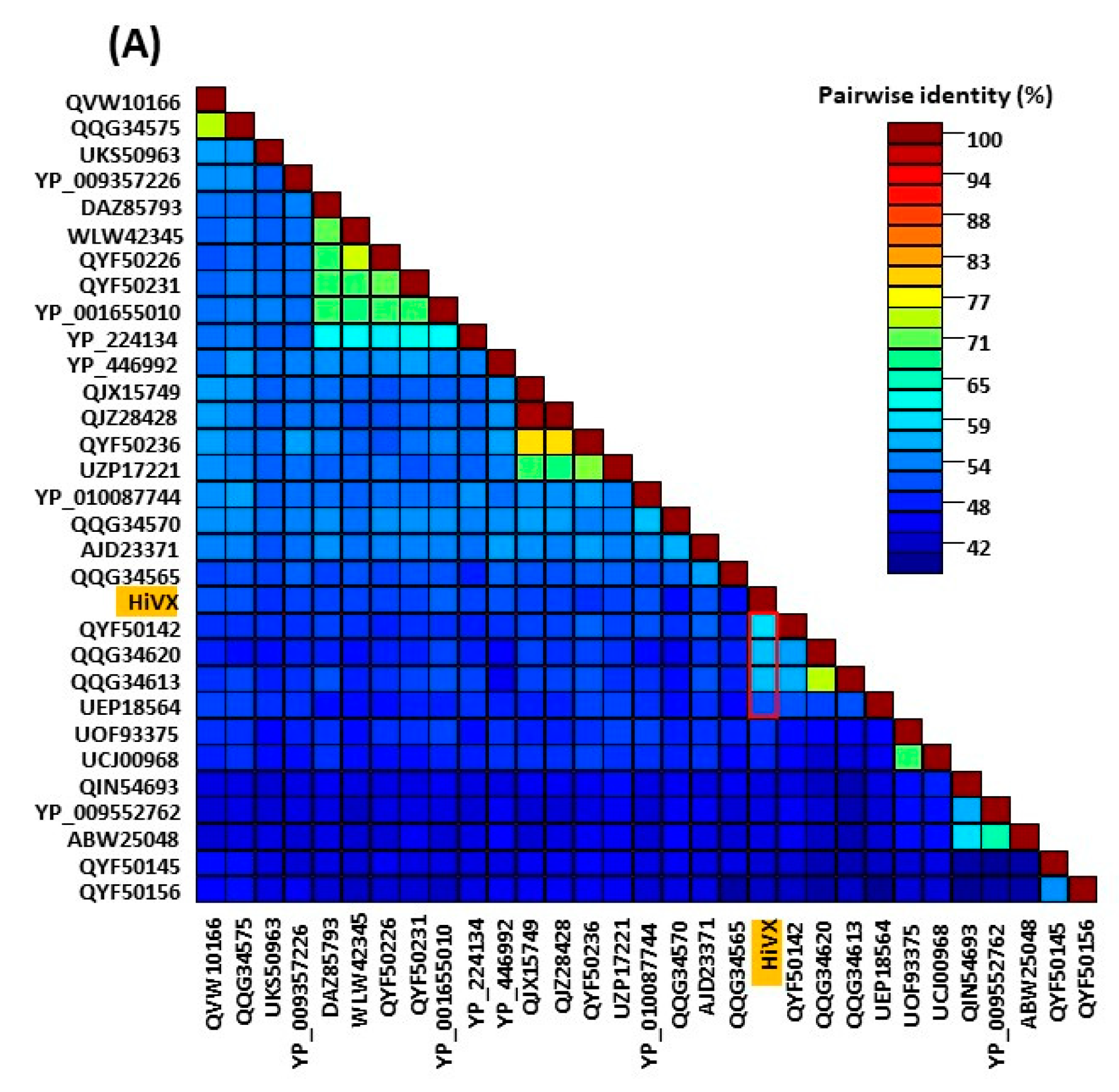 Viruses 16 00267 g007a