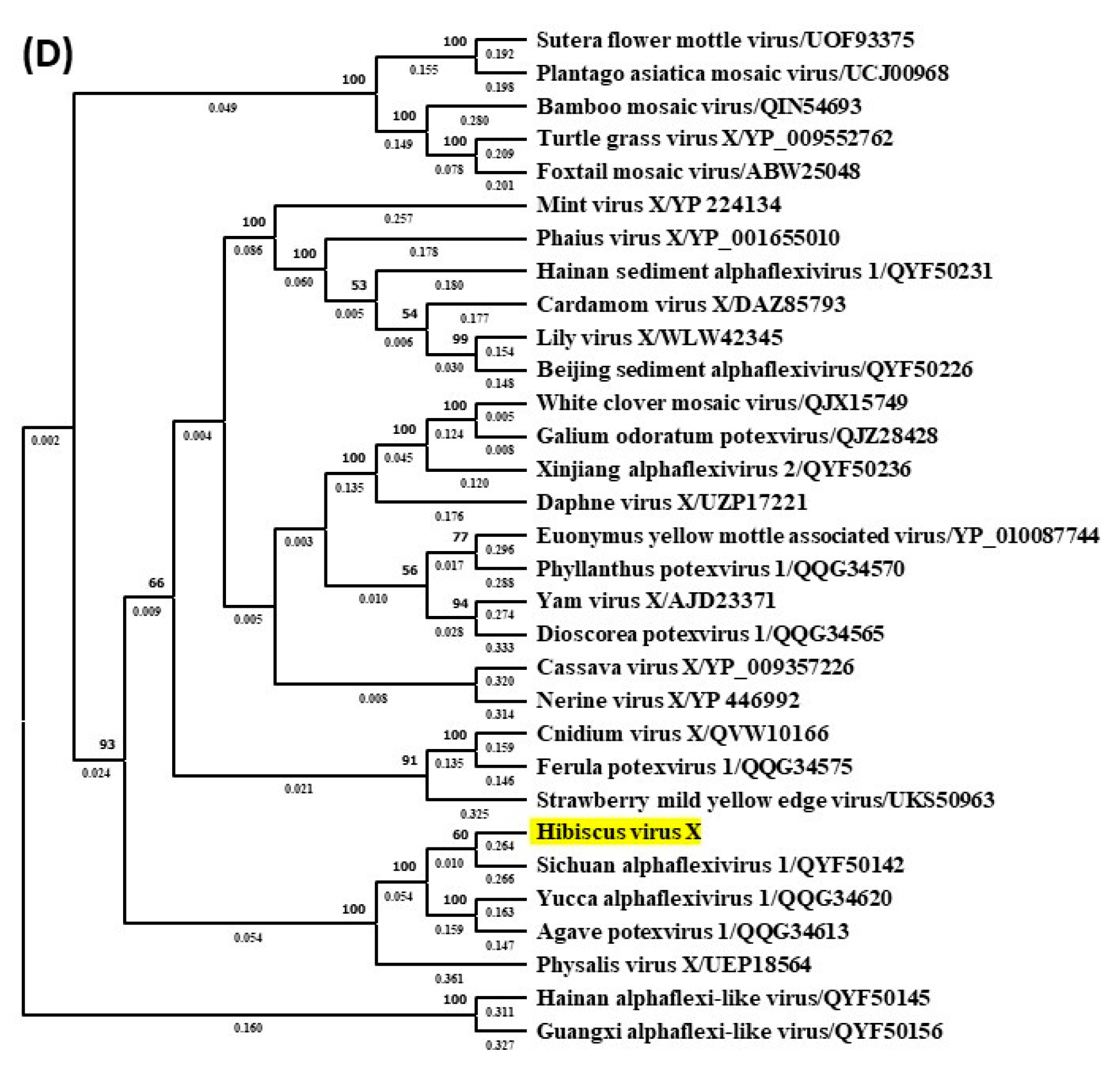 Viruses 16 00267 g007c