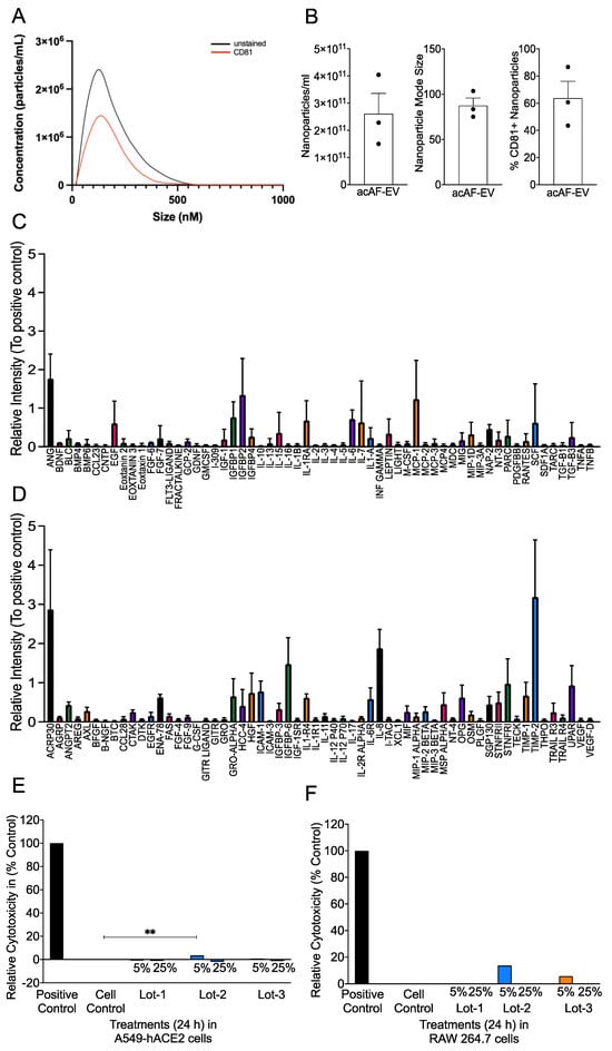 Viruses 16 00273 g001