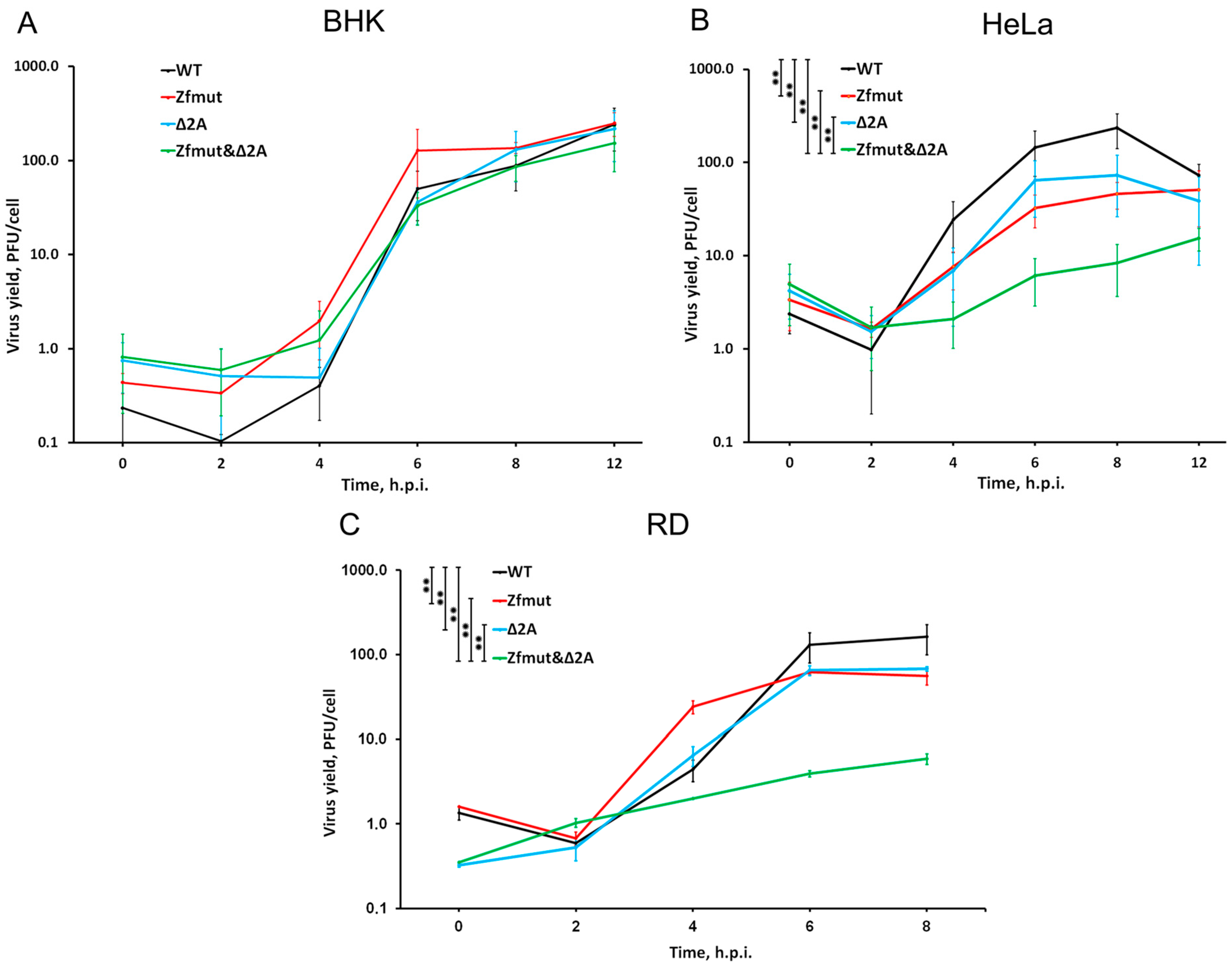 Viruses 16 00280 g002