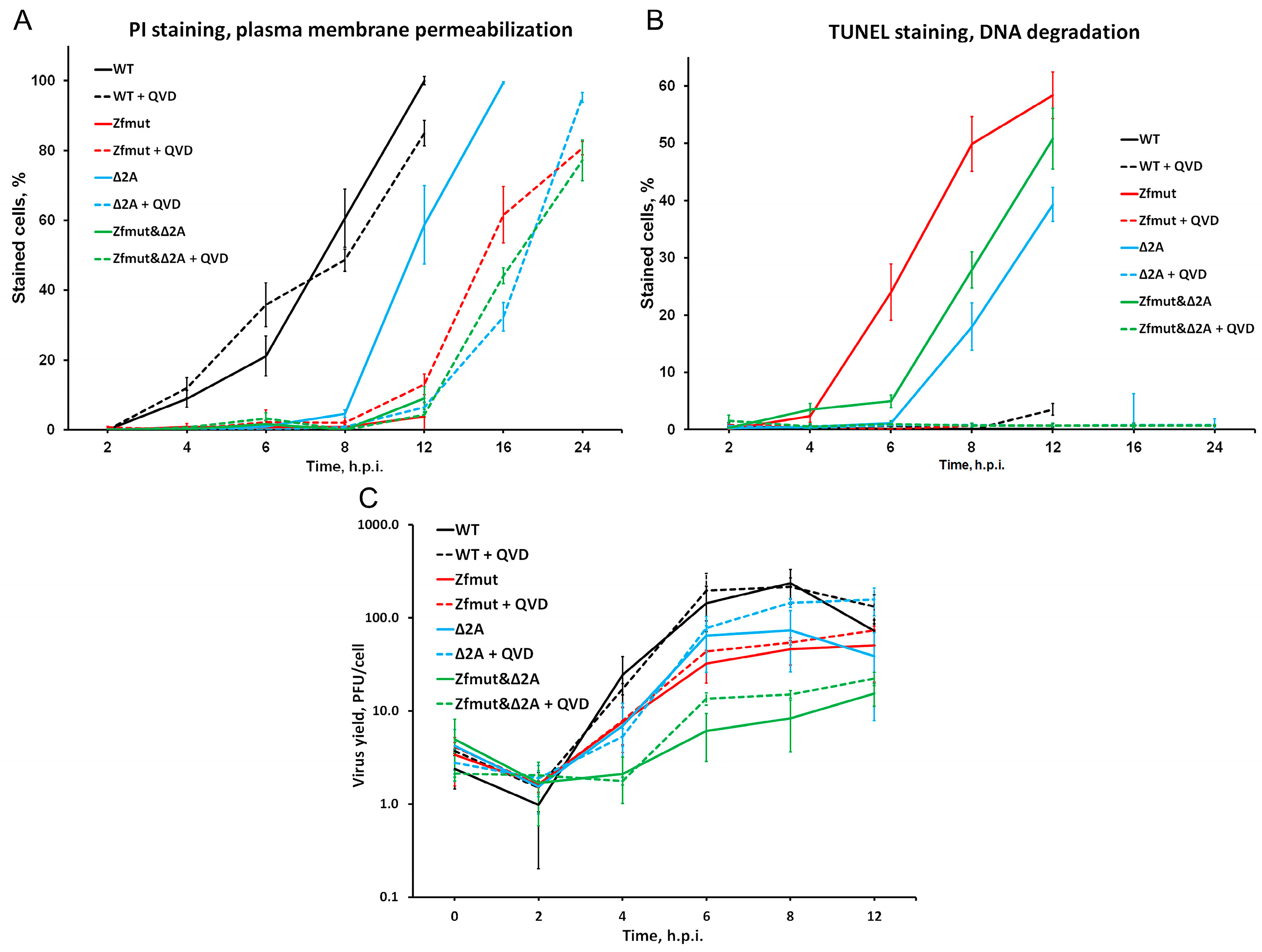 Viruses 16 00280 g011
