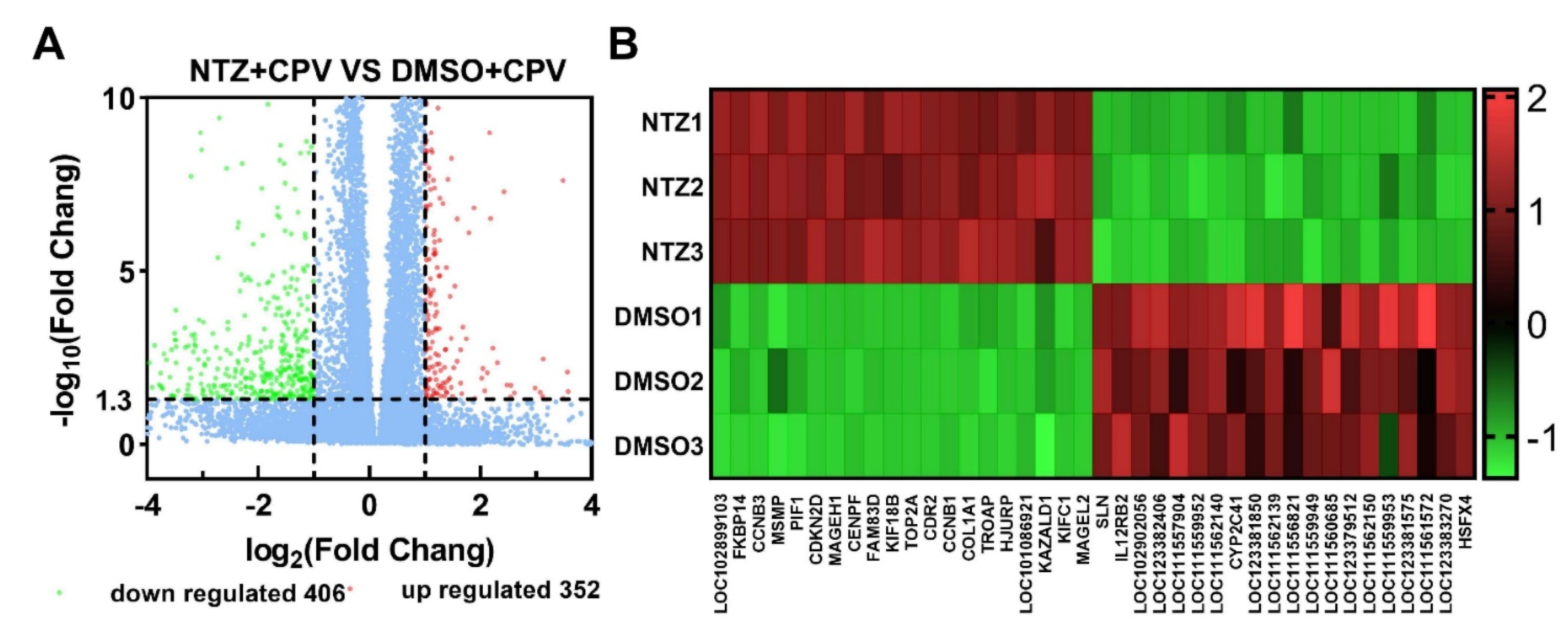 Viruses 16 00282 g002