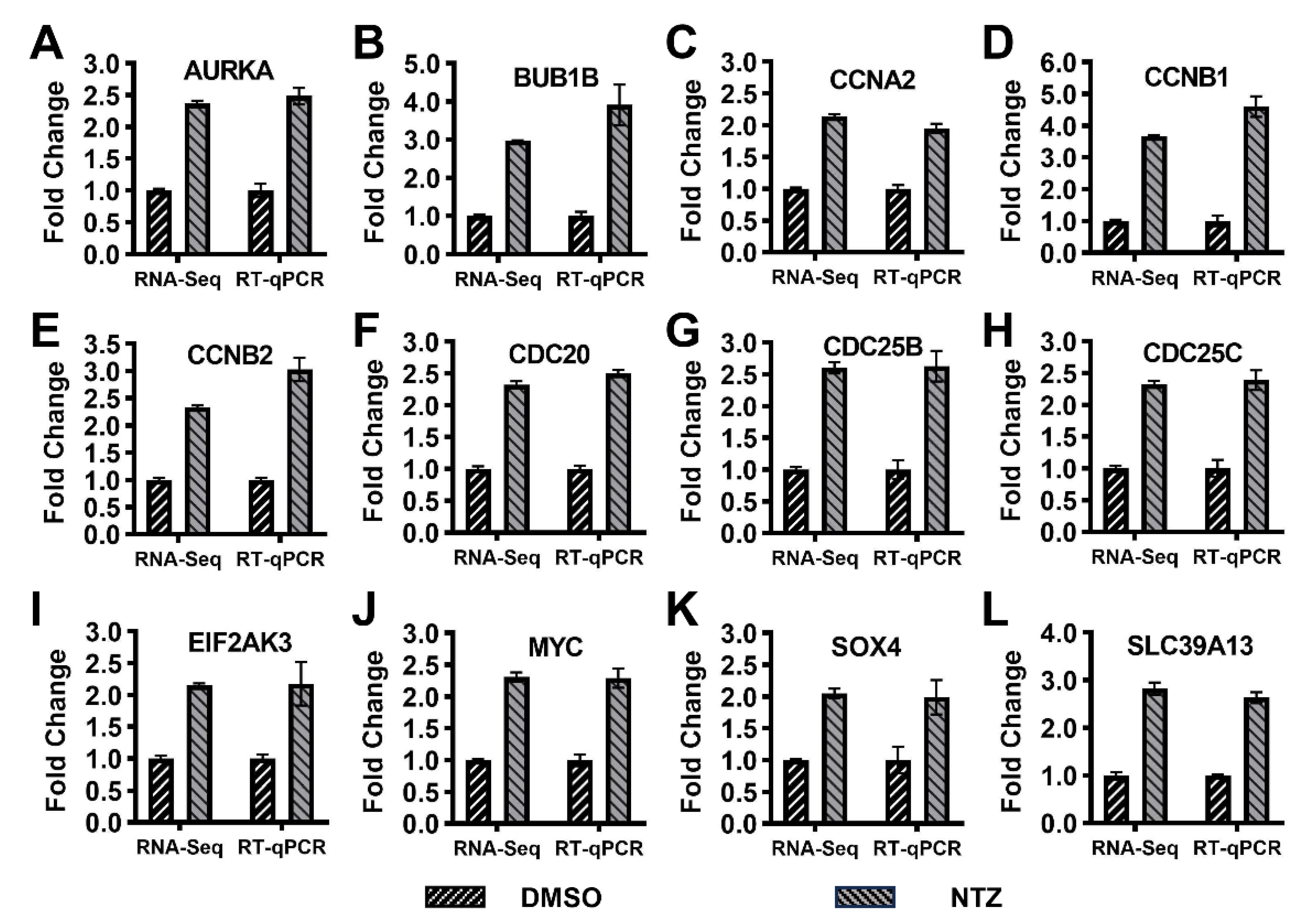 Viruses 16 00282 g005