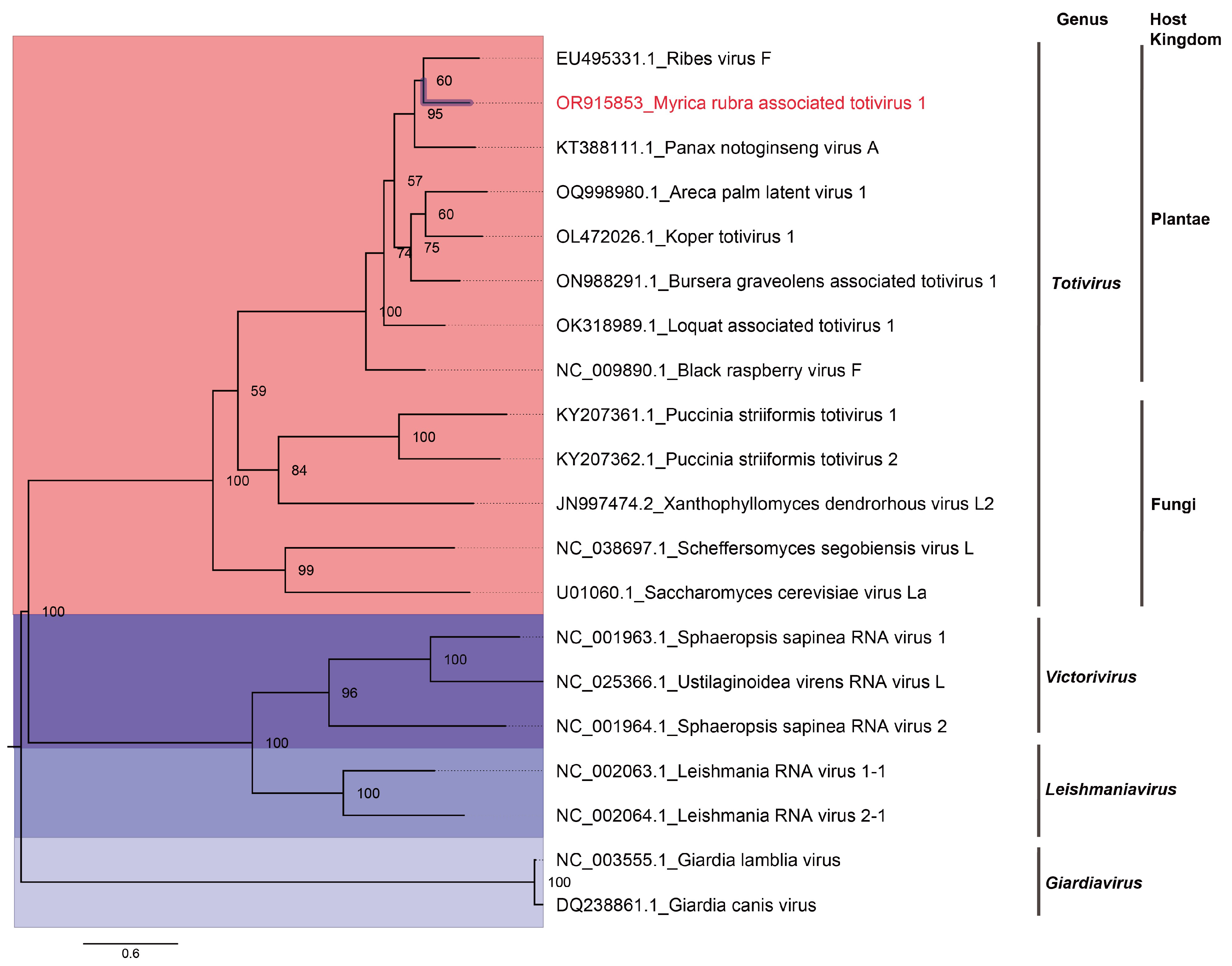 Viruses 16 00283 g002