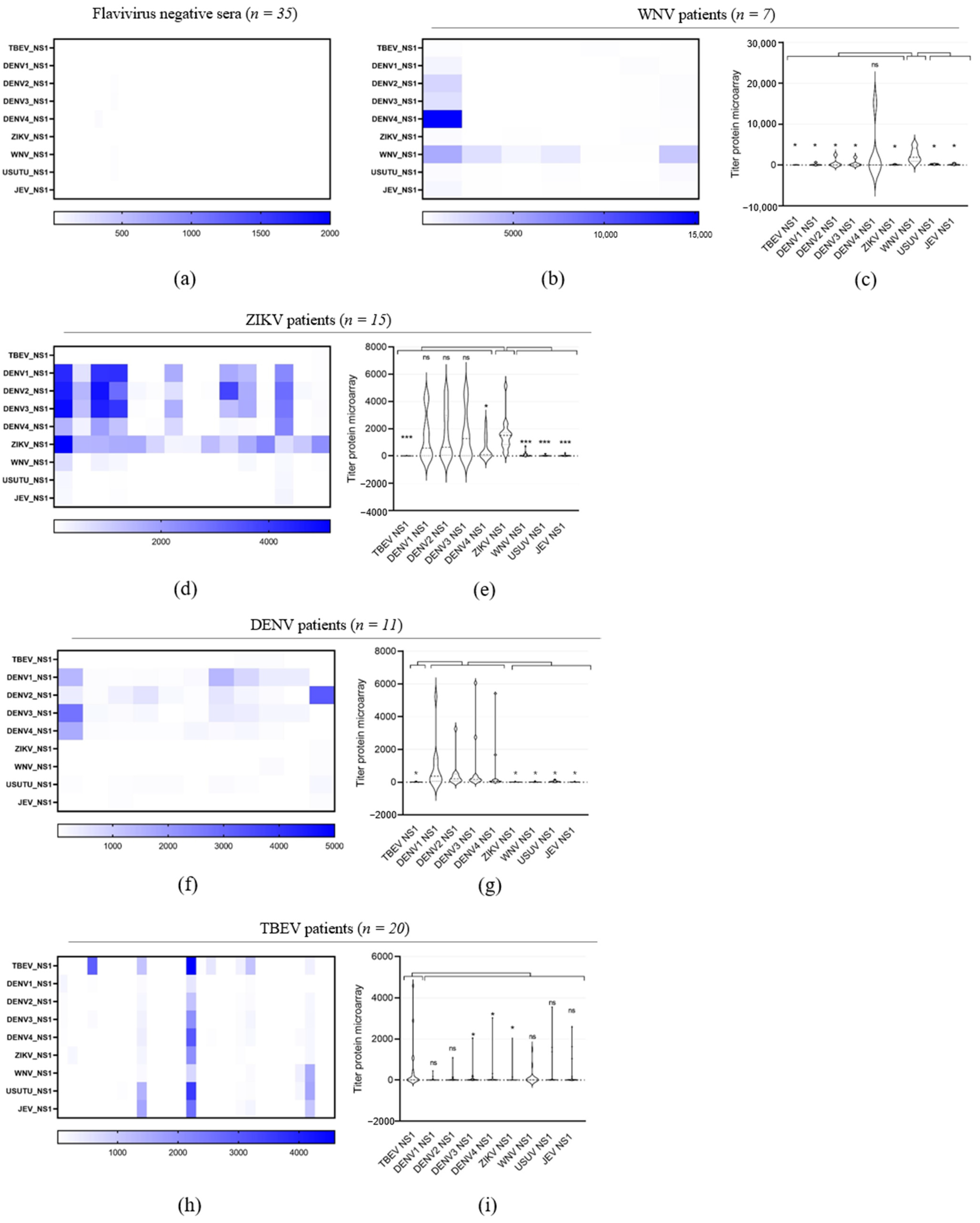 Viruses 16 00286 g003