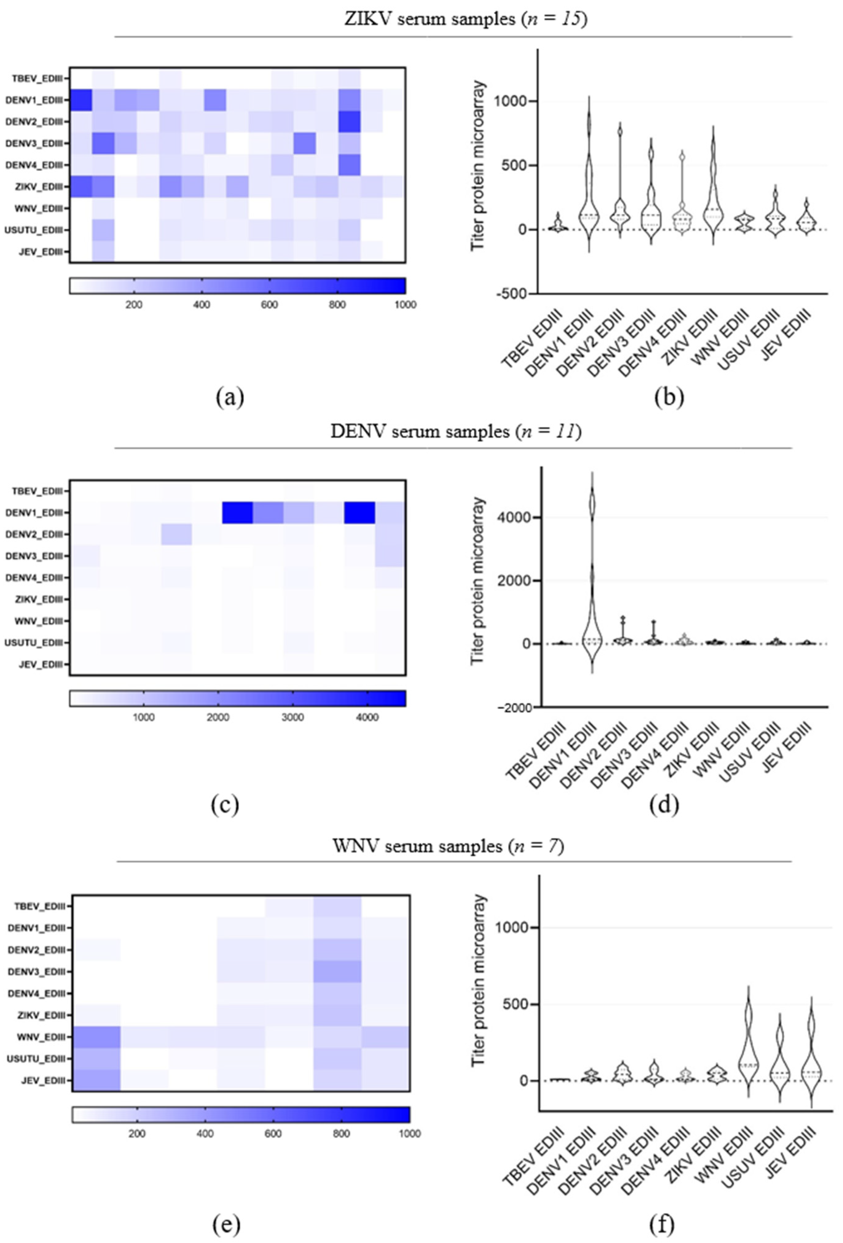 Viruses 16 00286 g006