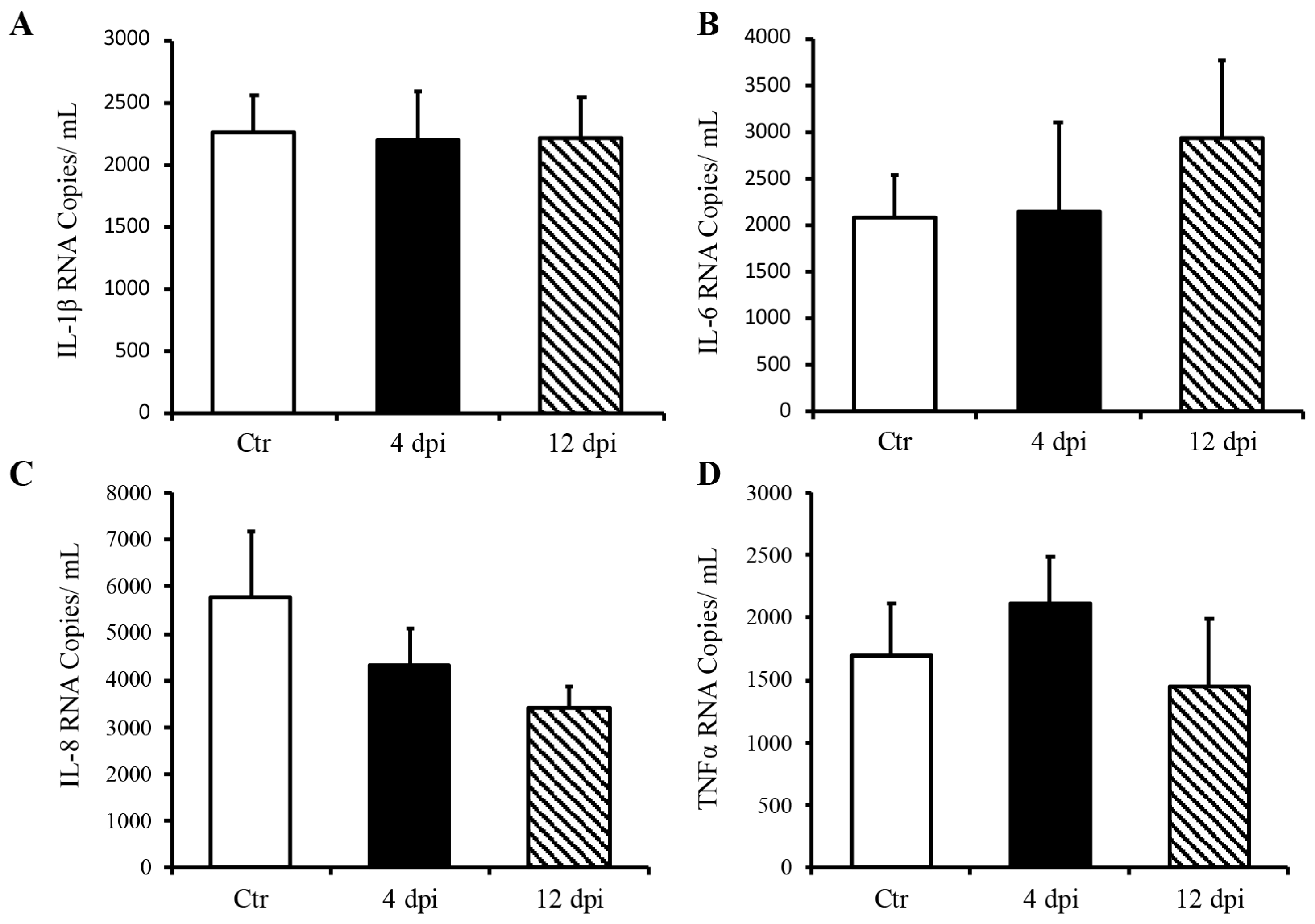 Viruses 16 00295 g004