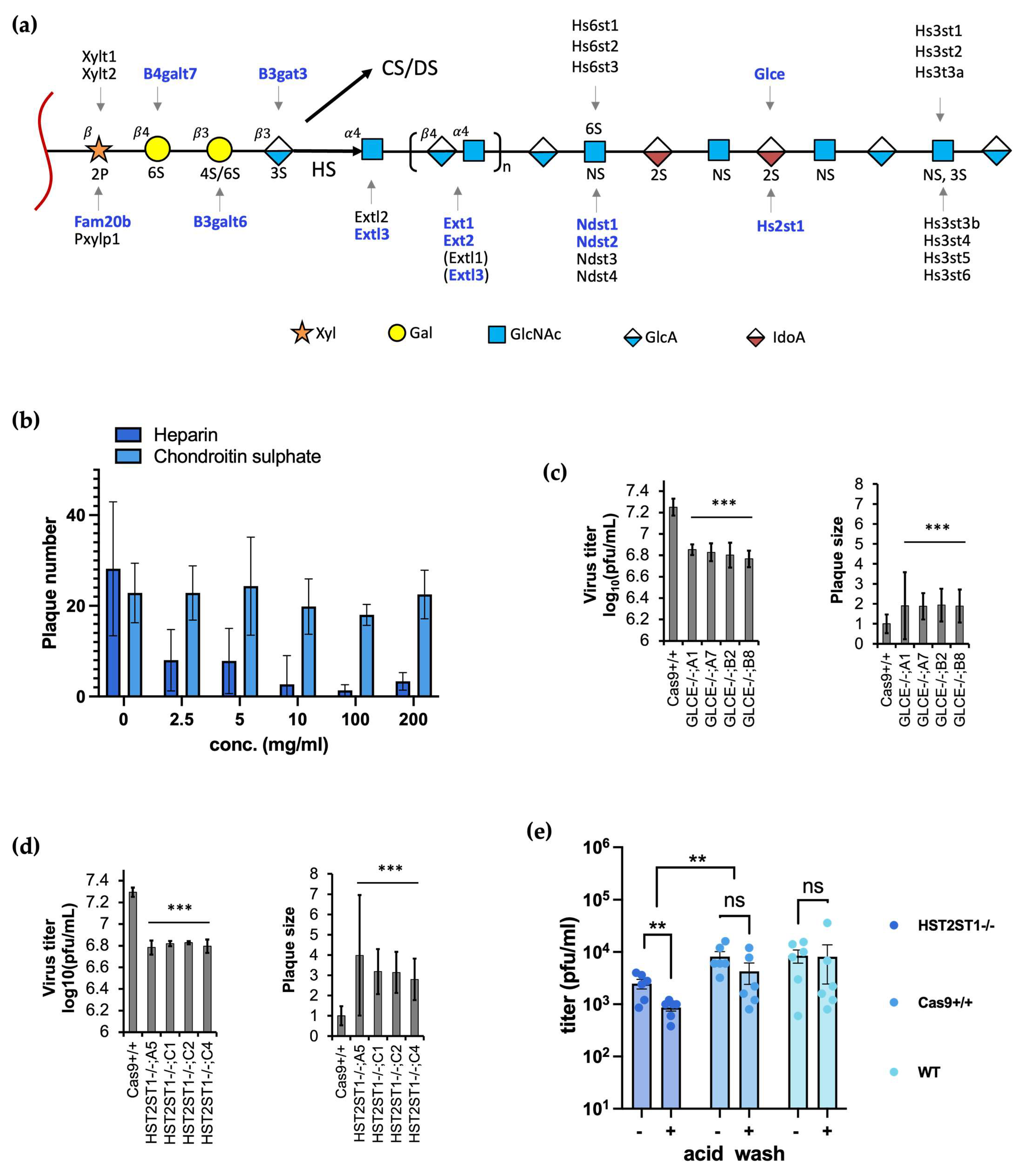 Viruses 16 00297 g003 Viruses 16 00297 g003