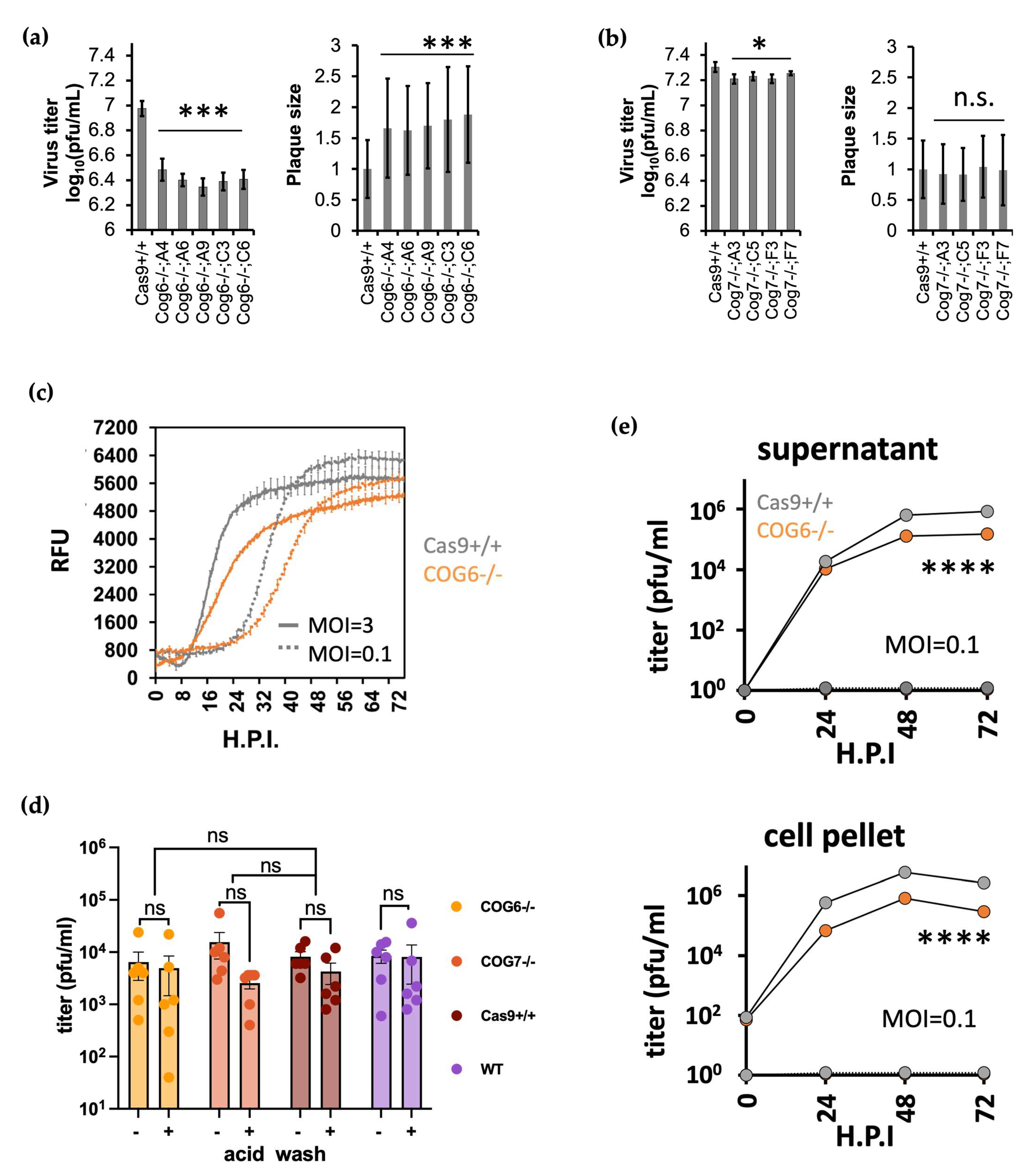 Viruses 16 00297 g004 Viruses 16 00297 g004