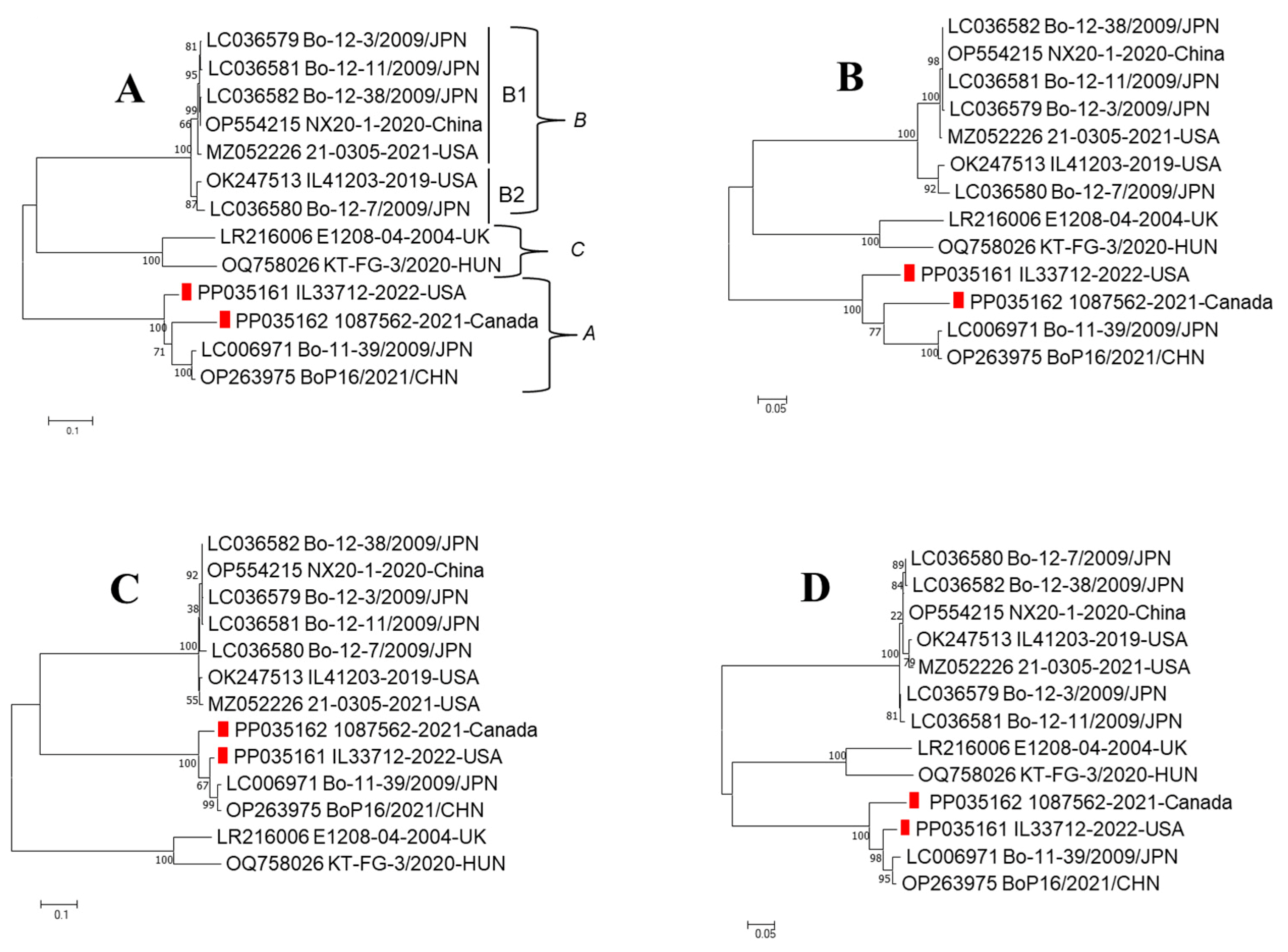 Viruses 16 00307 g002