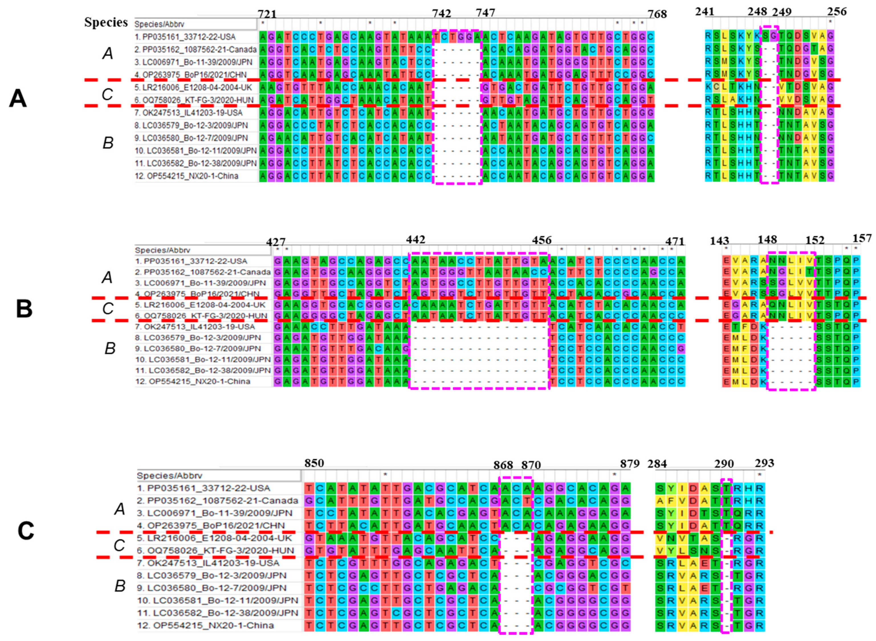 Viruses 16 00307 g004