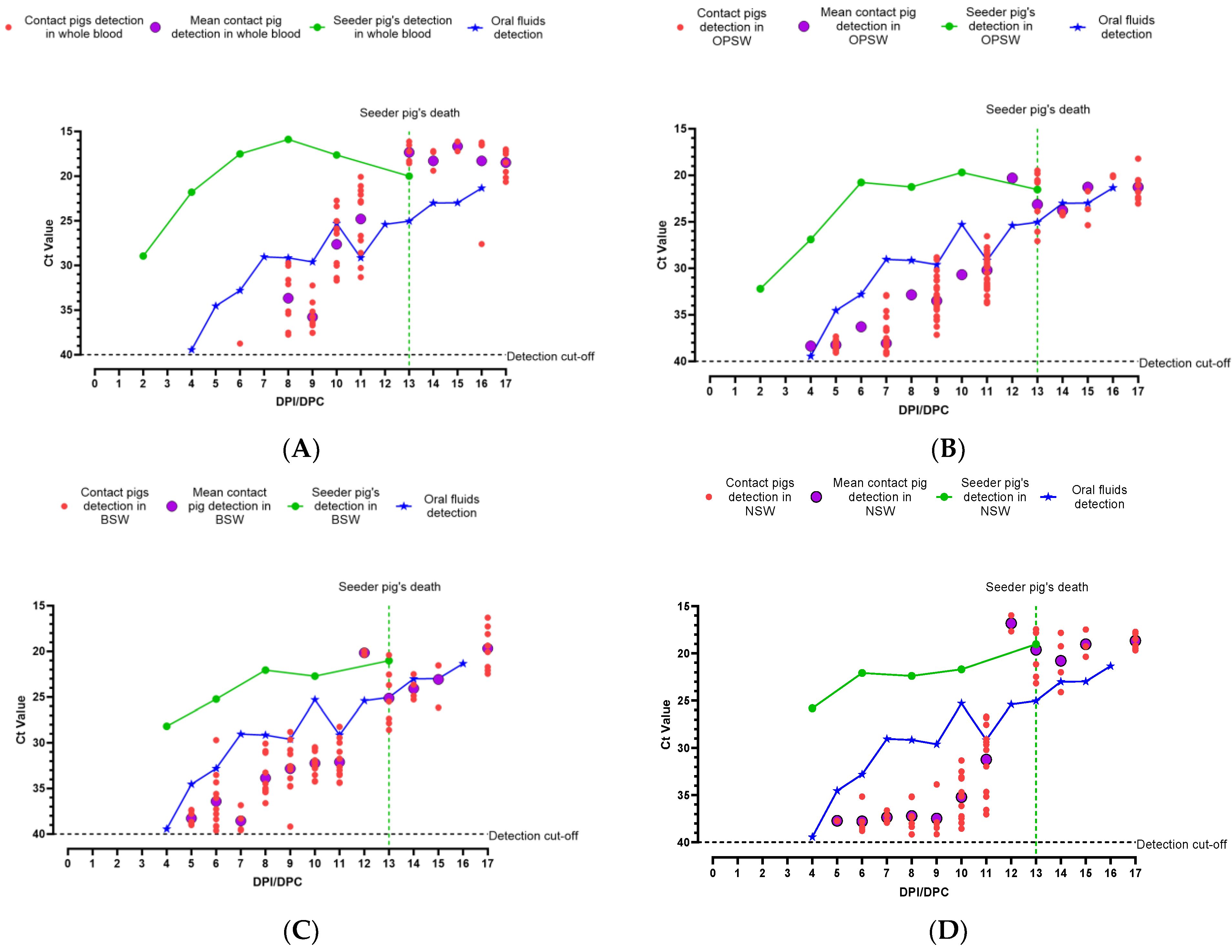 Viruses 16 00318 g004