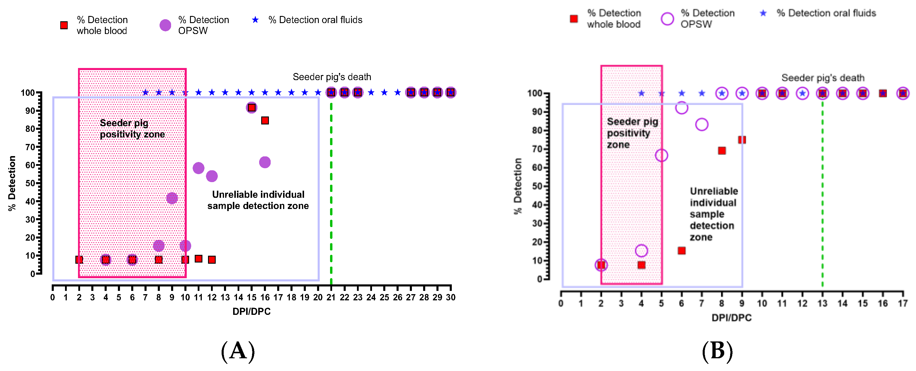 Viruses 16 00318 g005