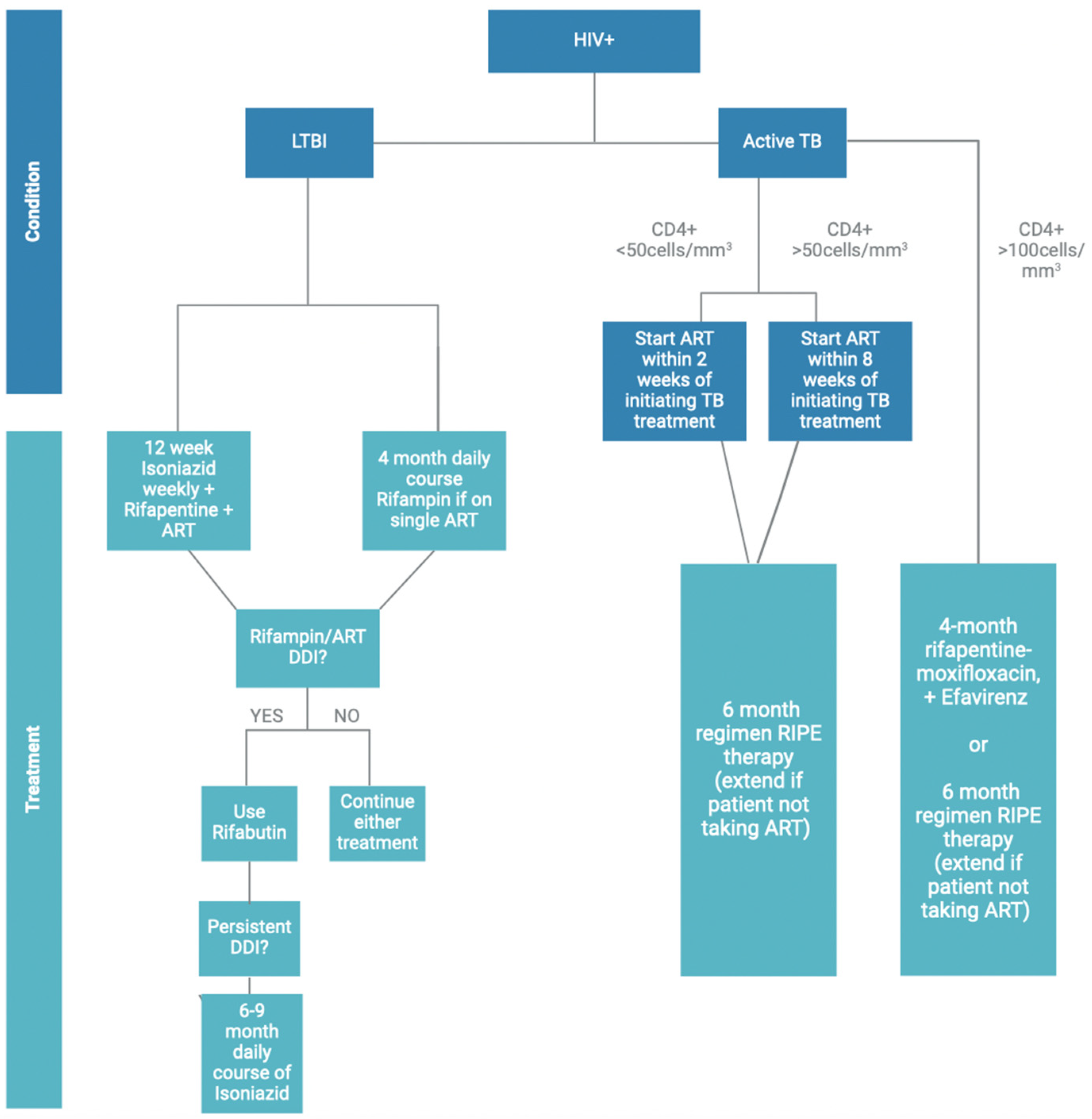 Viruses 16 00321 g002