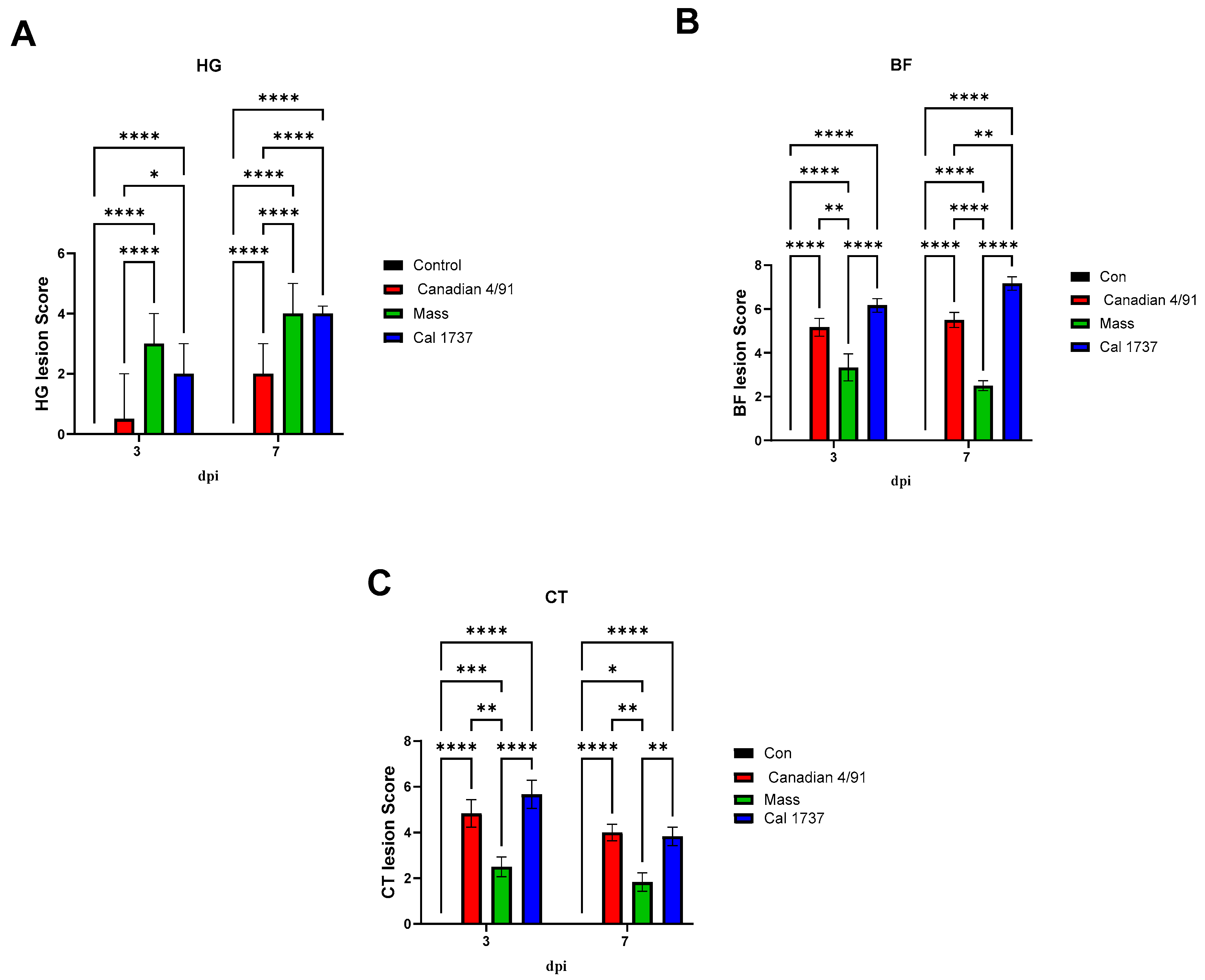 Viruses 16 00326 g005