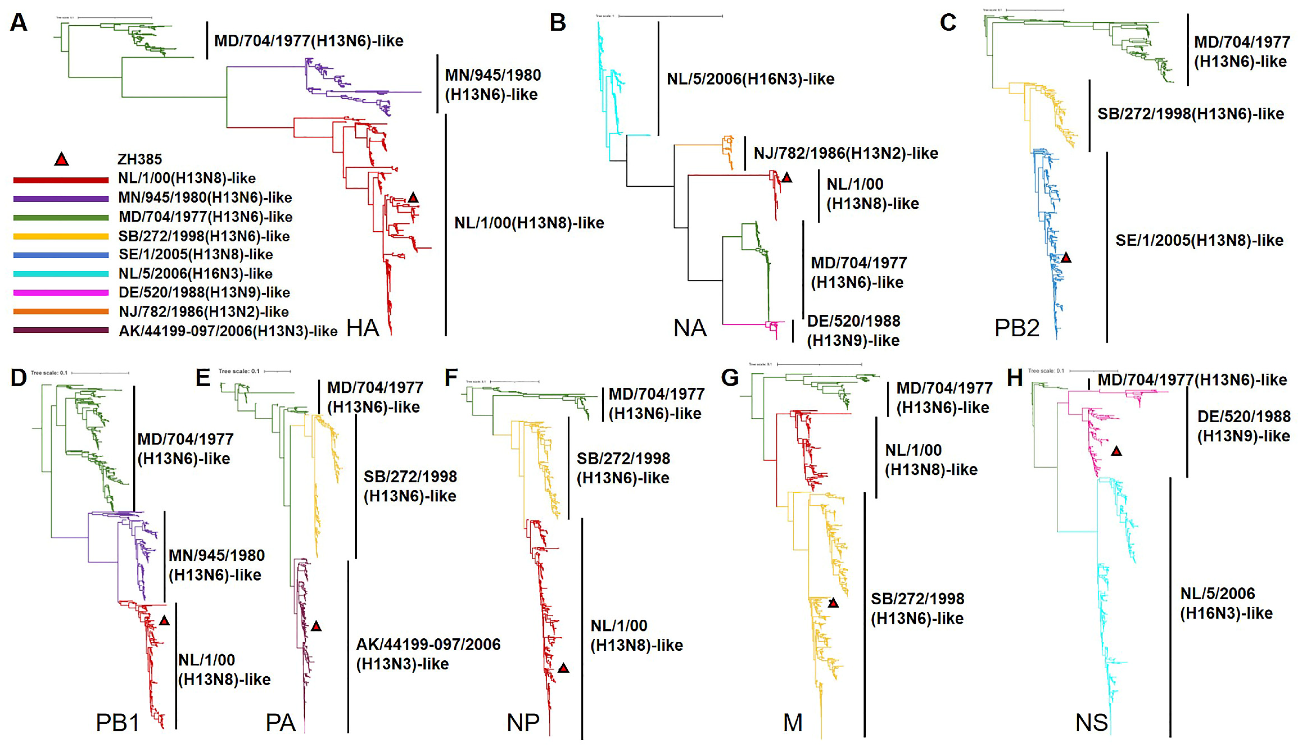 Viruses 16 00329 g001