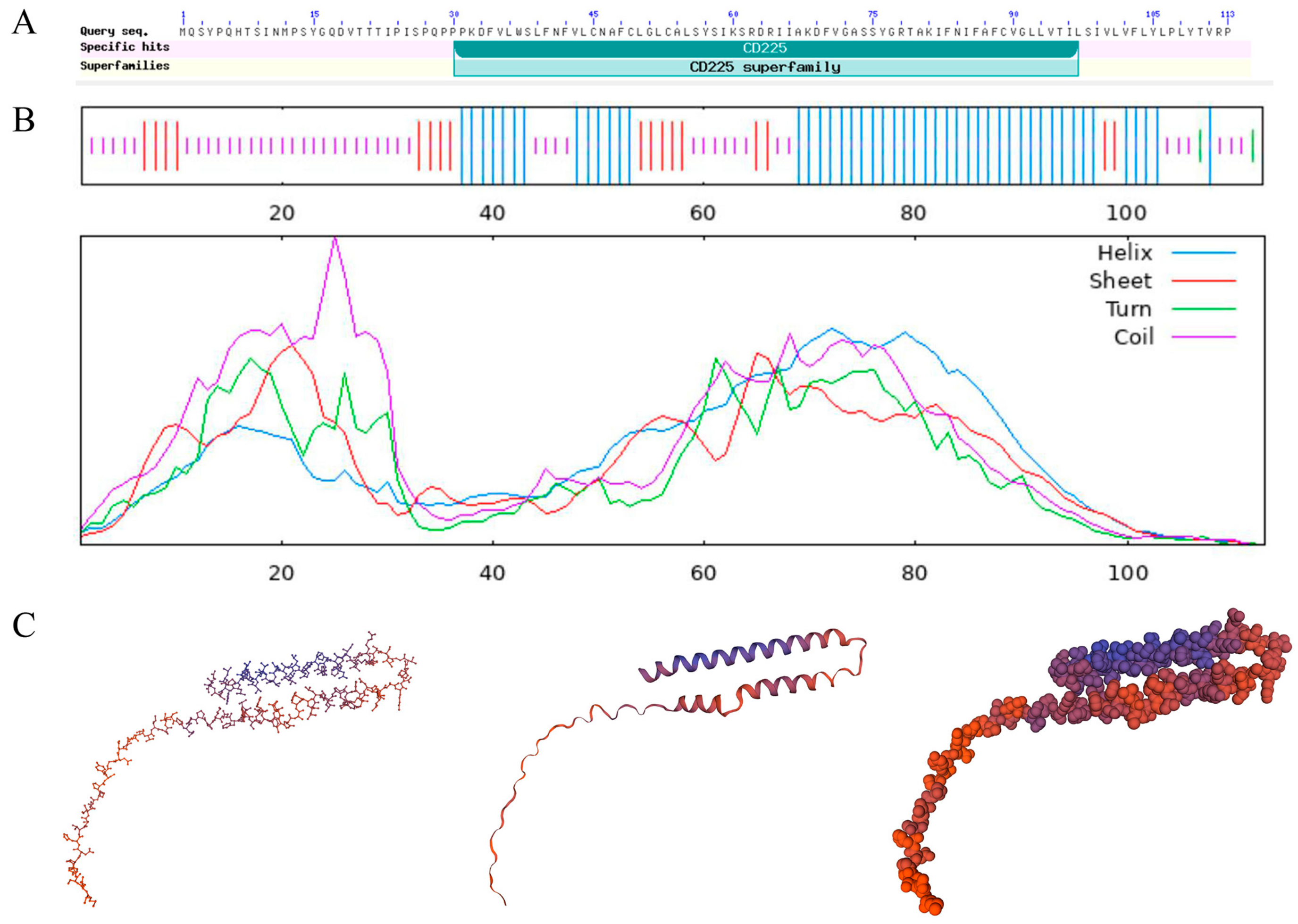 Viruses 16 00330 g002 Viruses 16 00330 g002