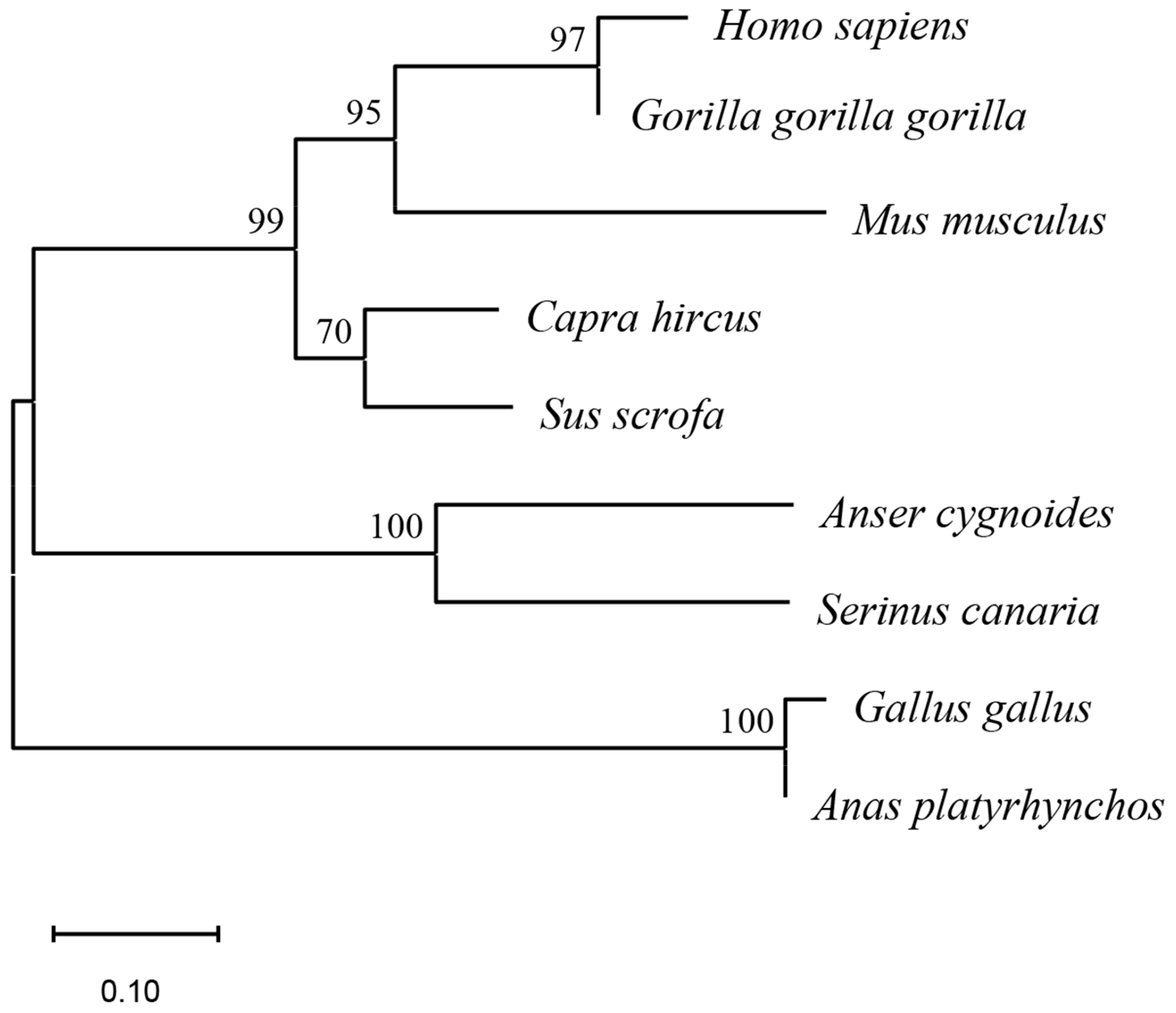 Viruses 16 00330 g003 Viruses 16 00330 g003