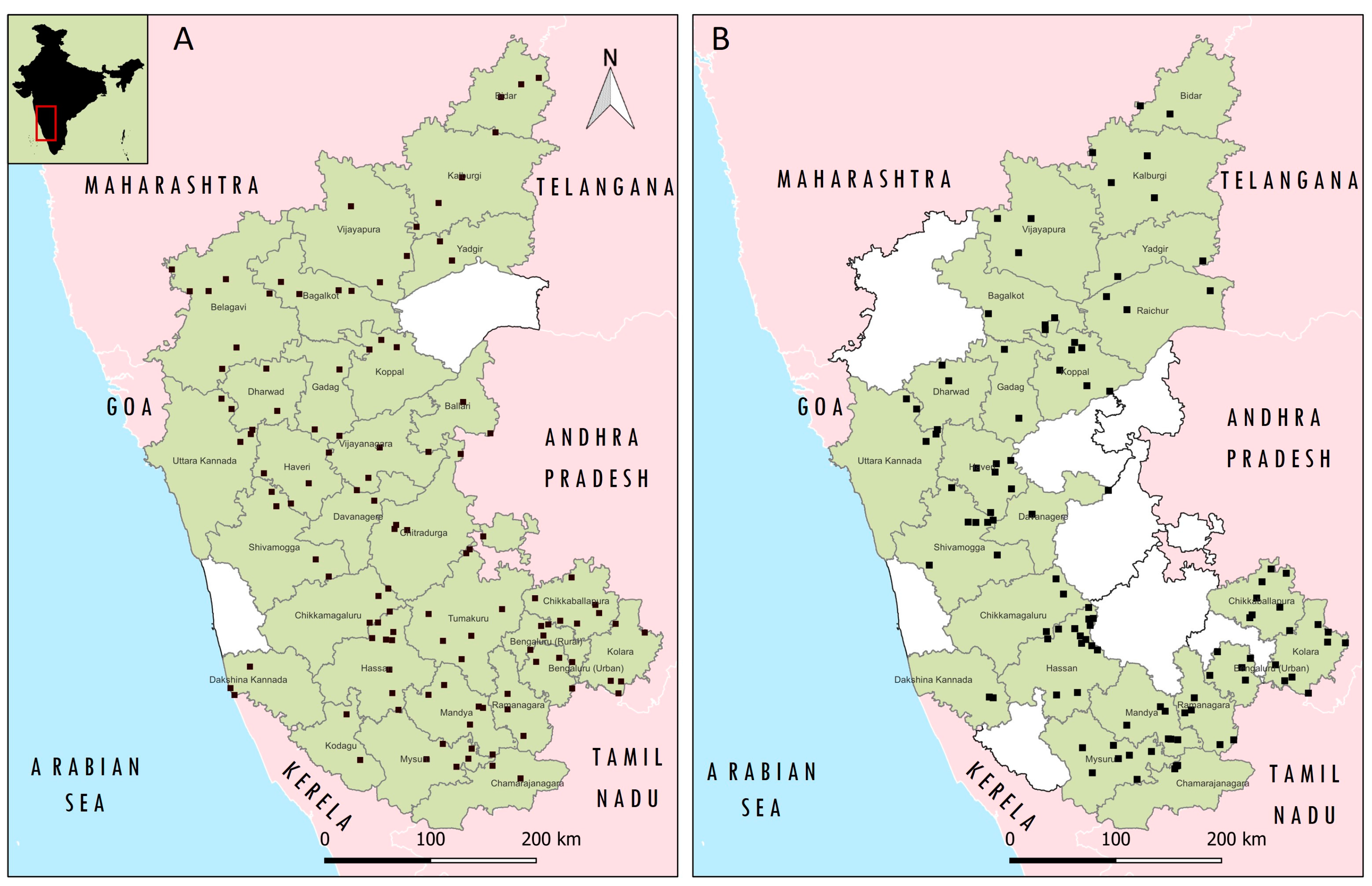 Viruses 16 00333 g001