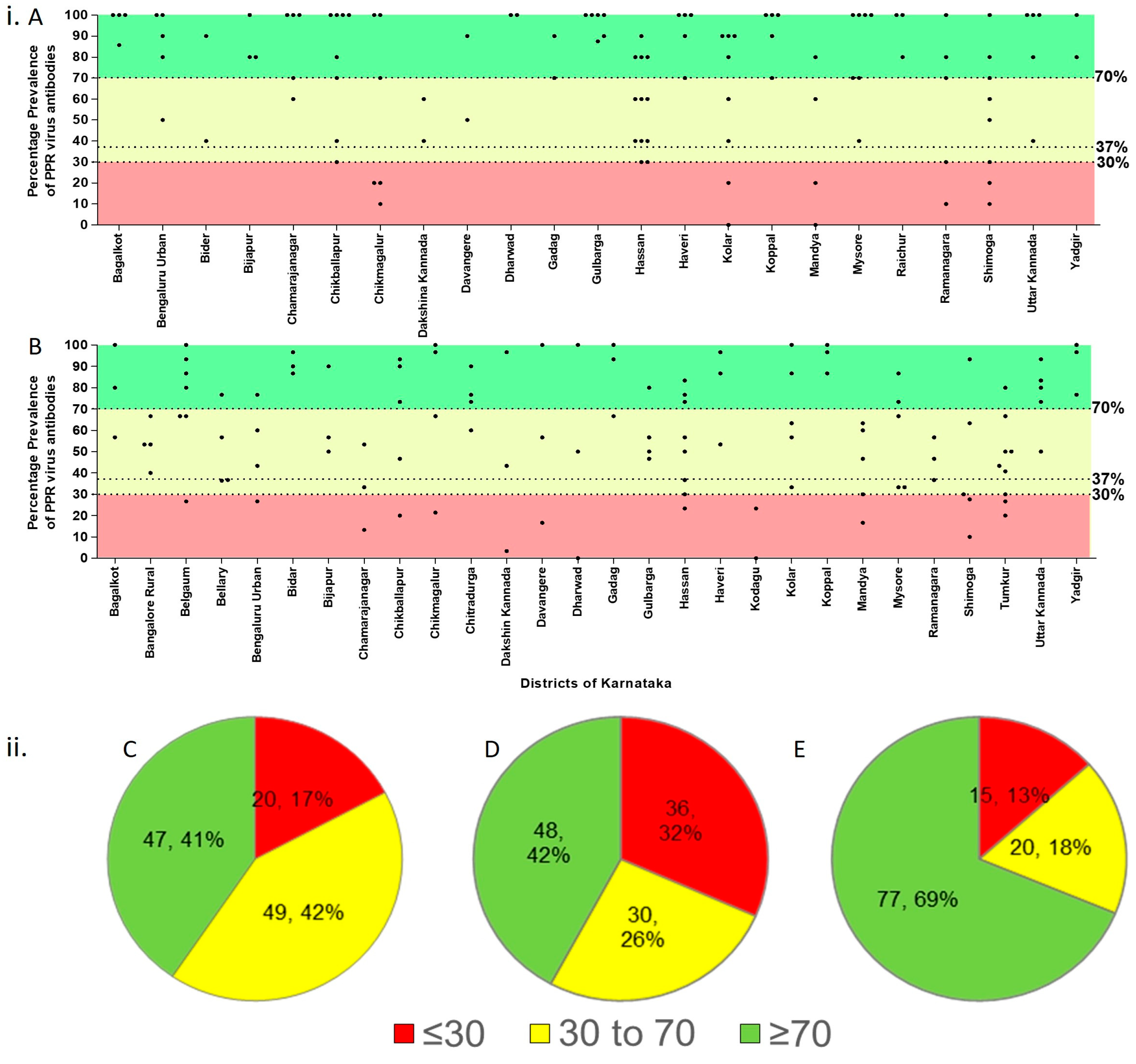 Viruses 16 00333 g003