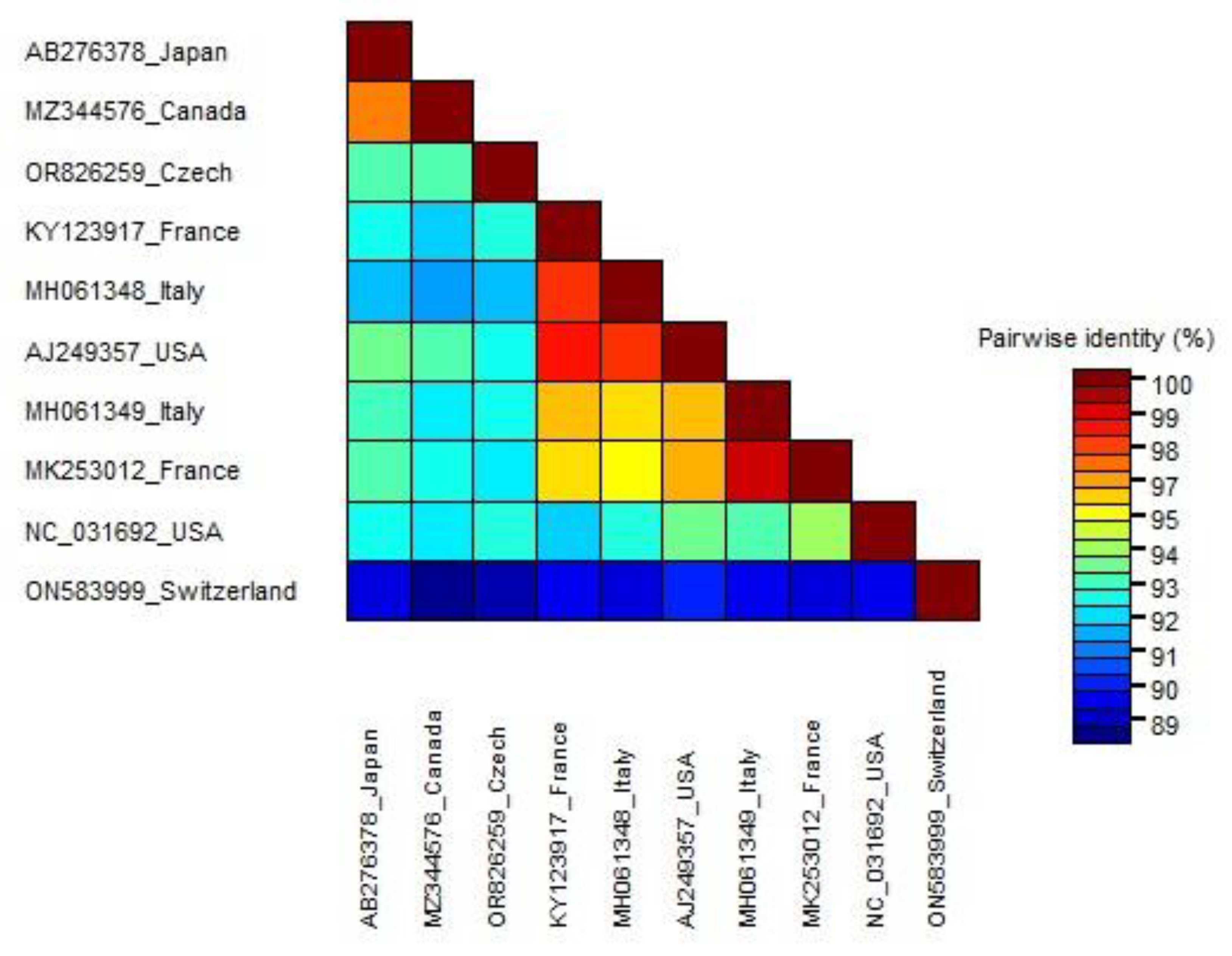 Viruses 16 00343 g006
