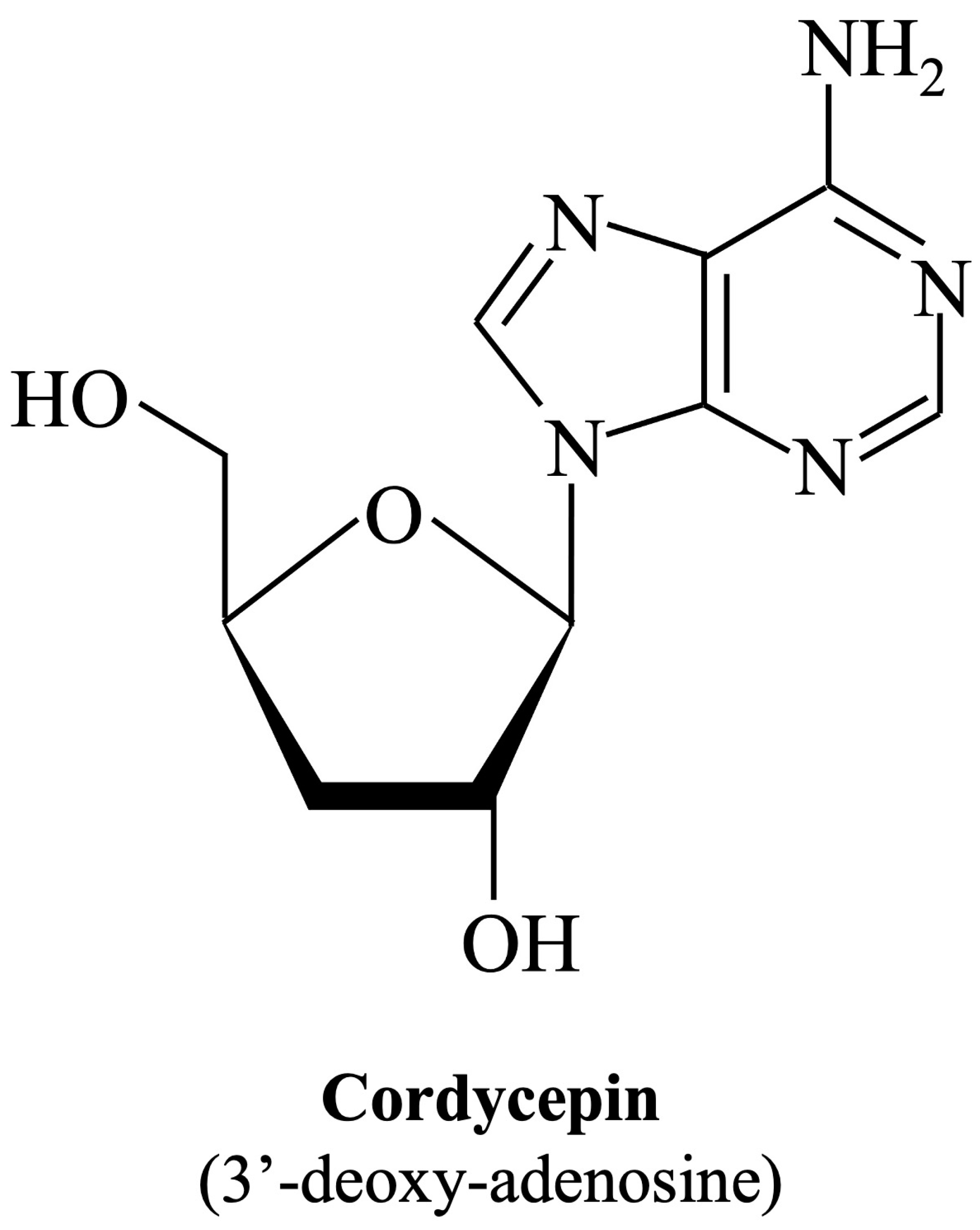 Viruses 16 00352 g001