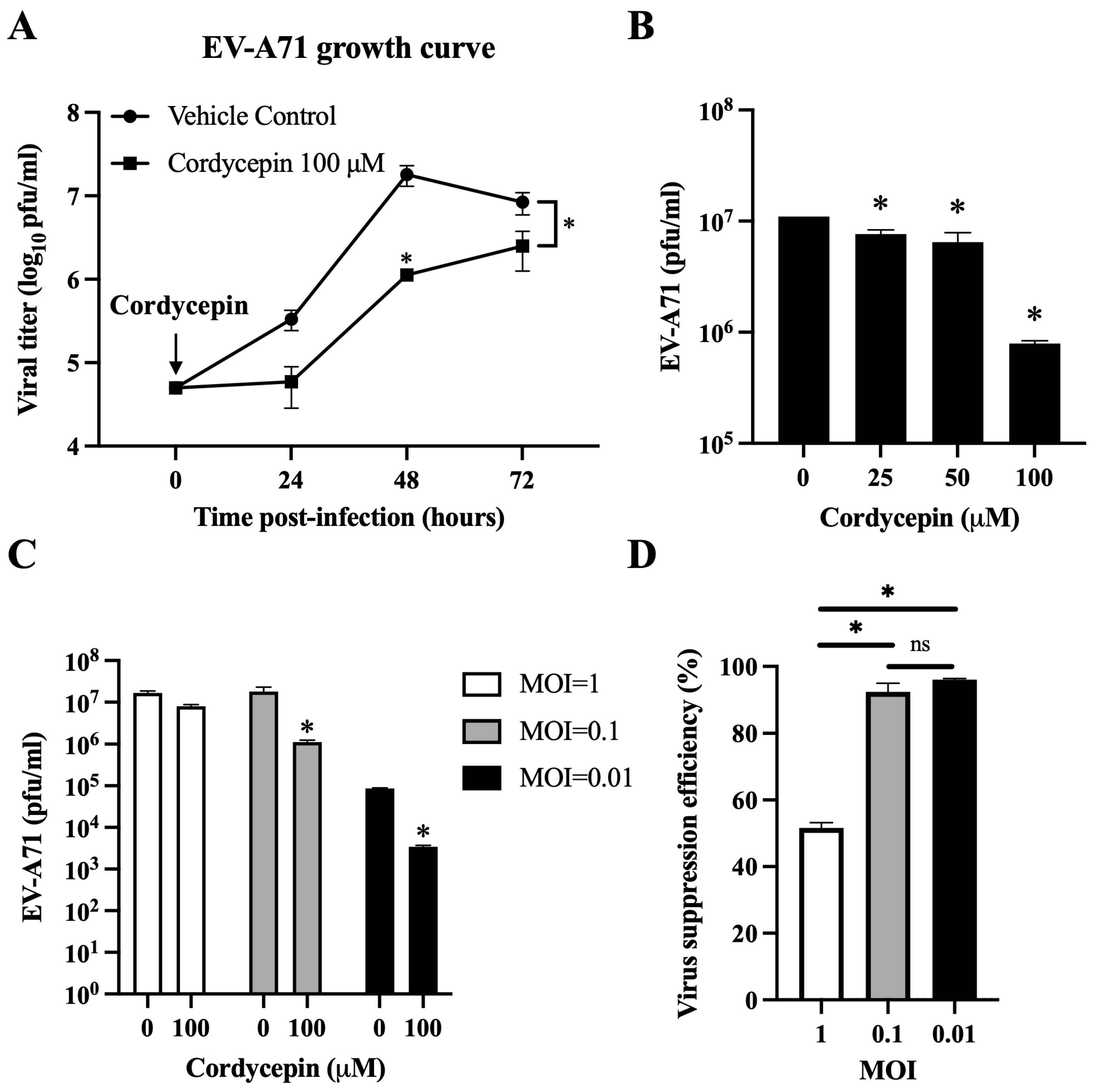 Viruses 16 00352 g002