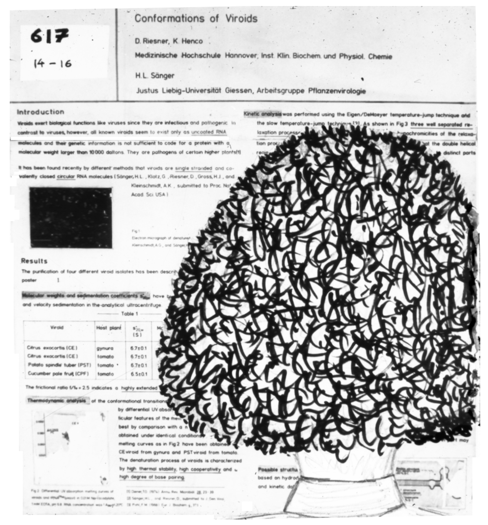 Viruses 16 00360 g003 Viruses 16 00360 g003