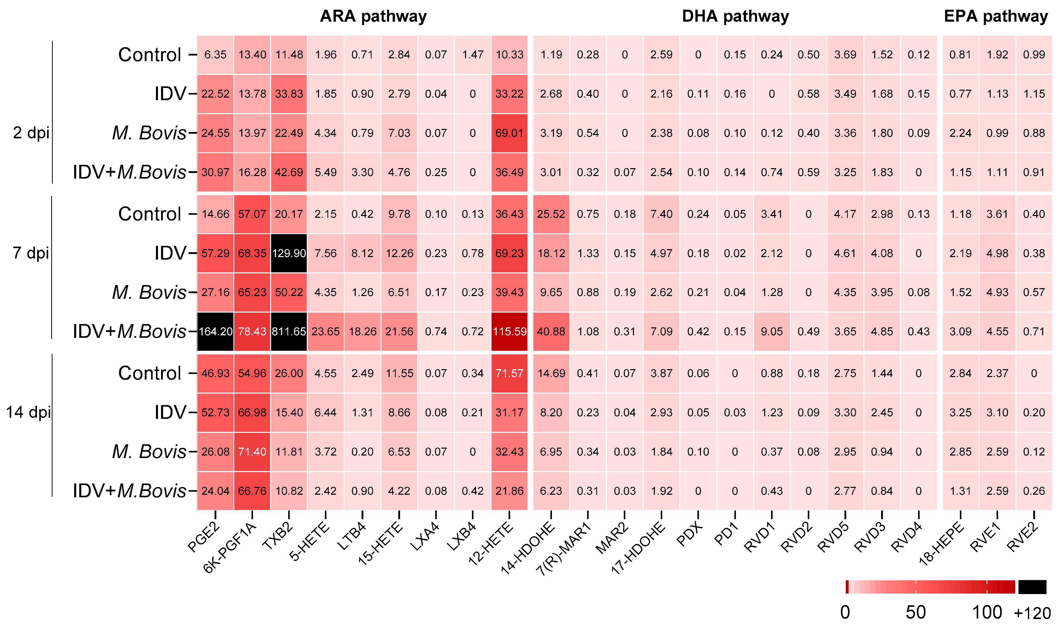 Viruses 16 00361 g007