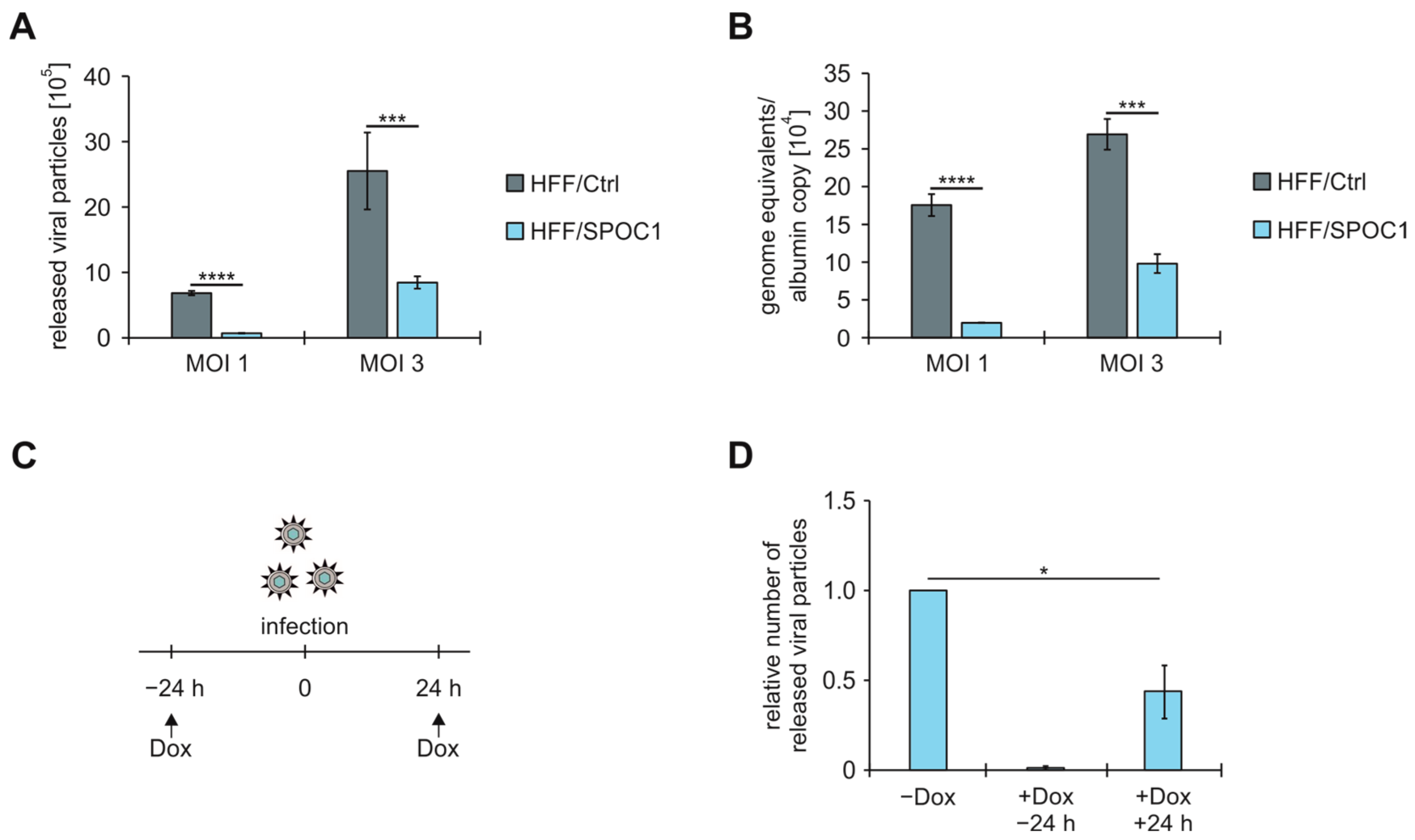 Viruses 16 00363 g002