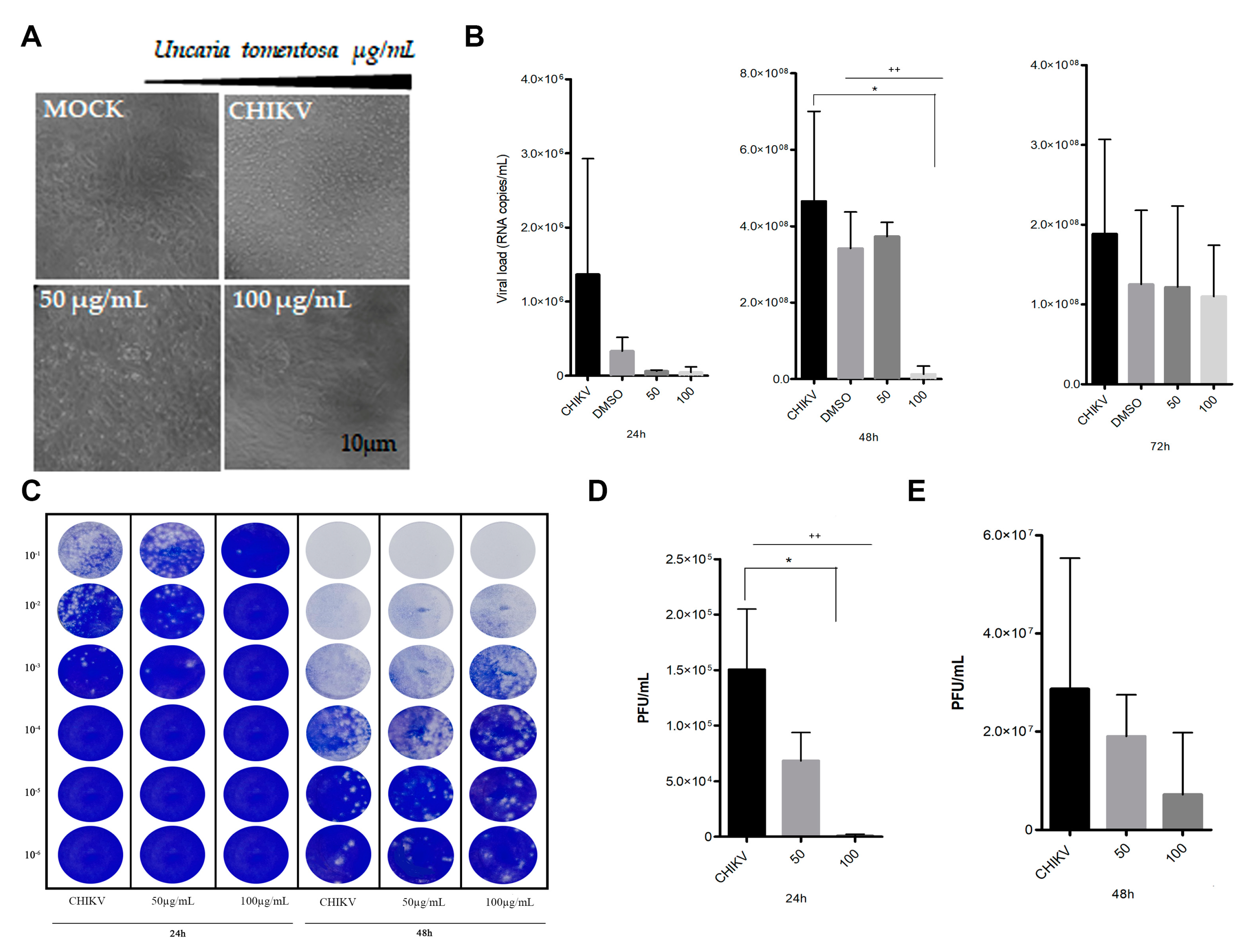 Viruses 16 00369 g006