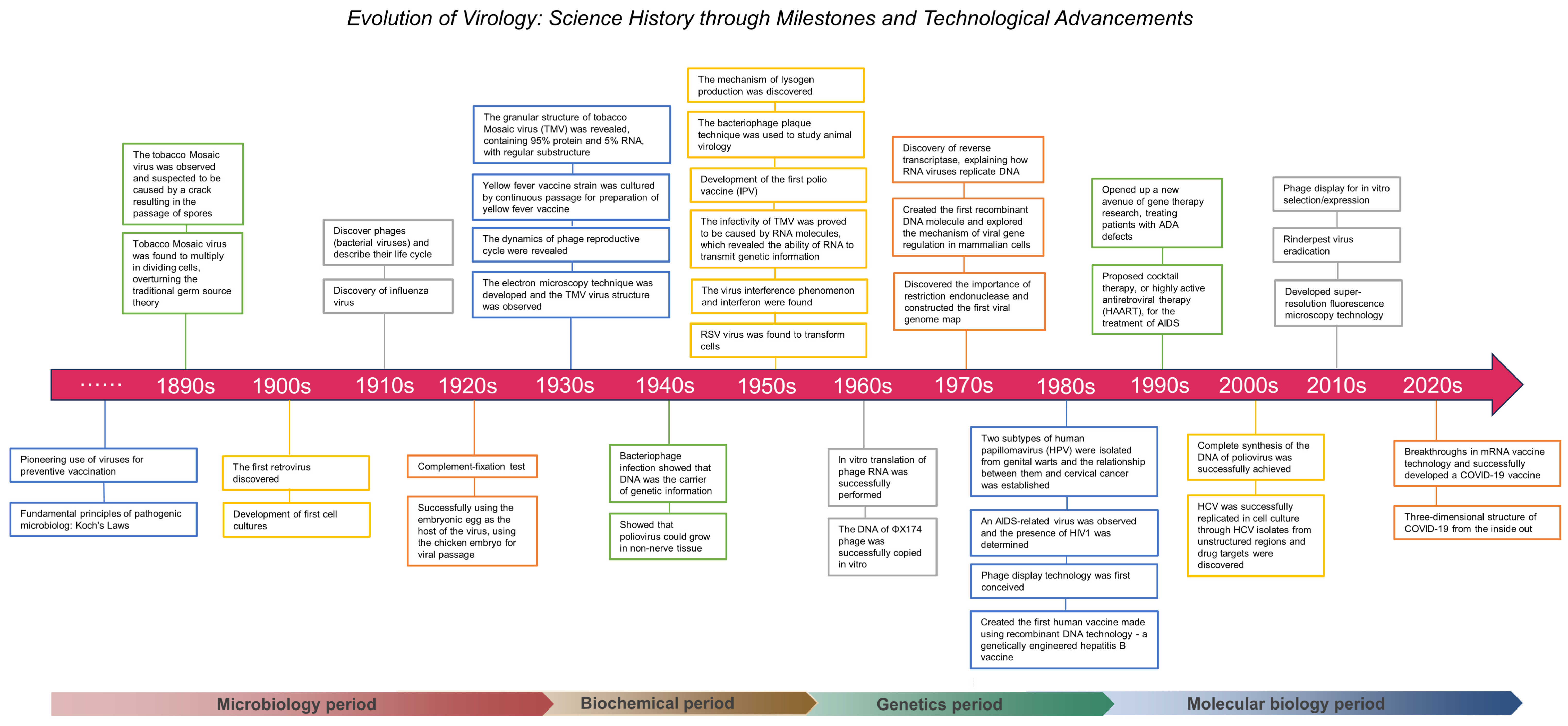 Viruses 16 00374 g001