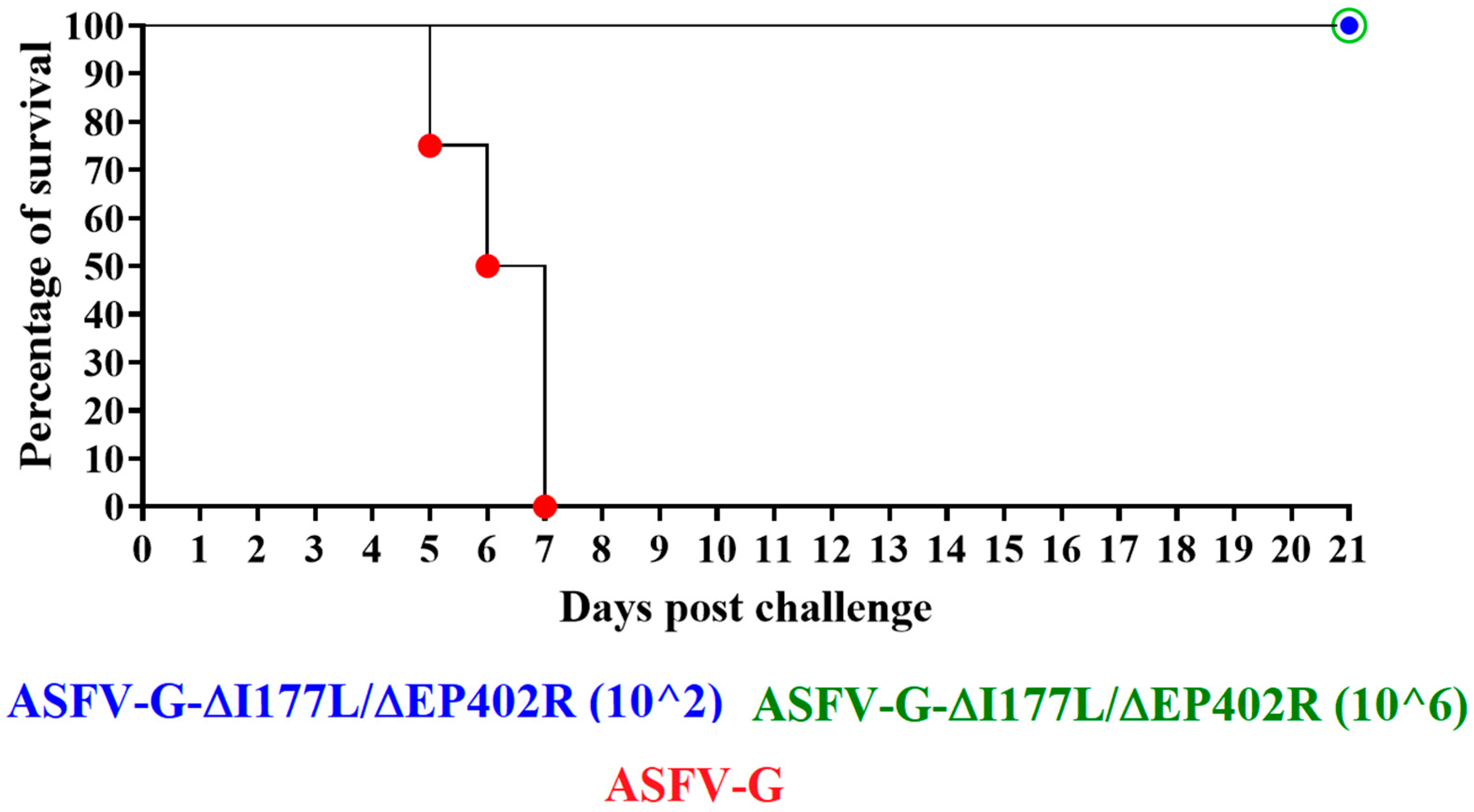 Viruses 16 00376 g006 Viruses 16 00376 g006