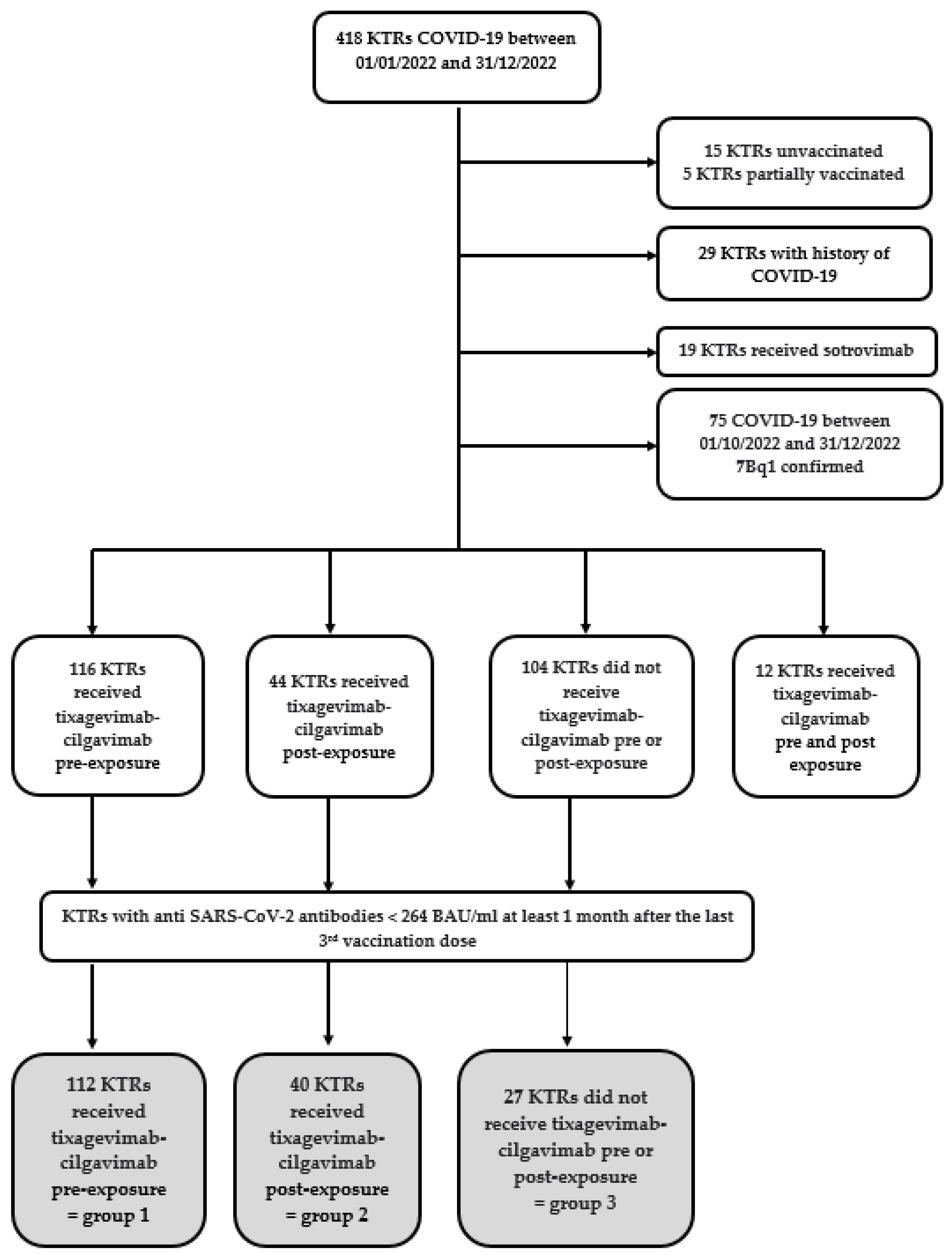 Viruses 16 00381 g001